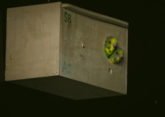 A satisfied partner inspecting the durable nesting boxes we provide.