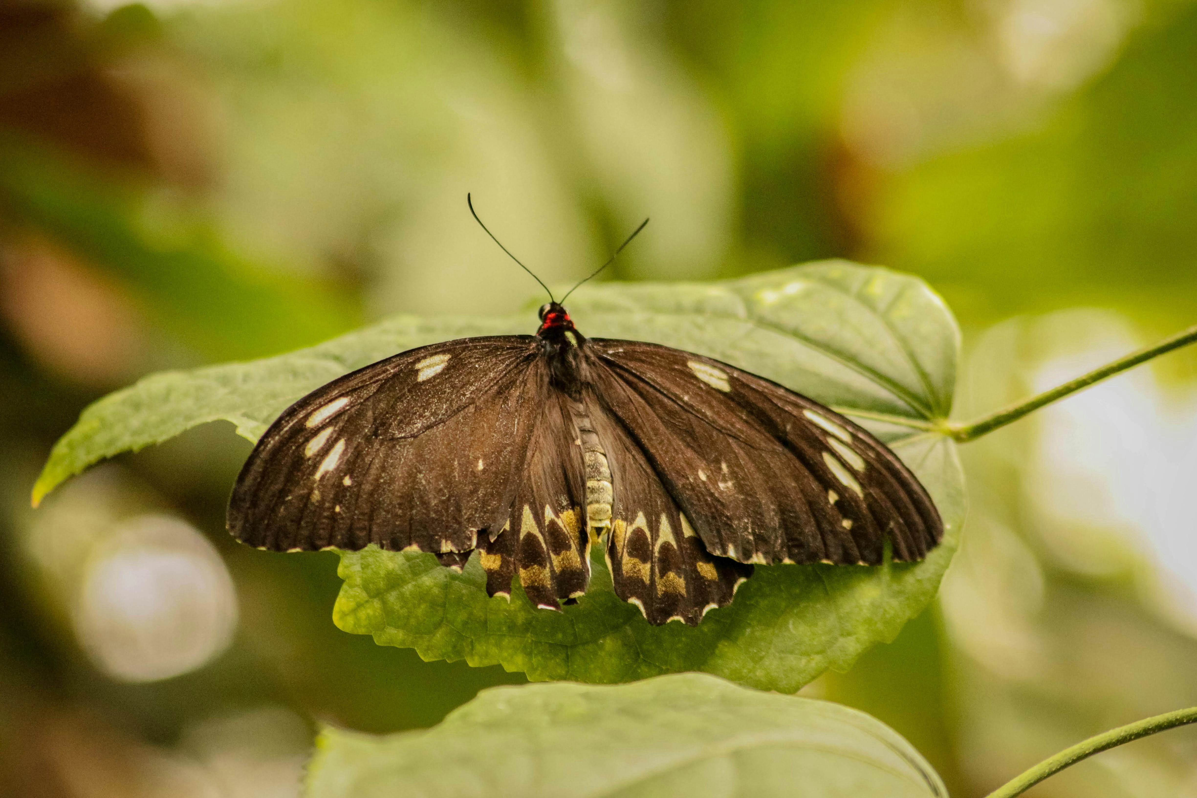 Photo by vanelkphotography