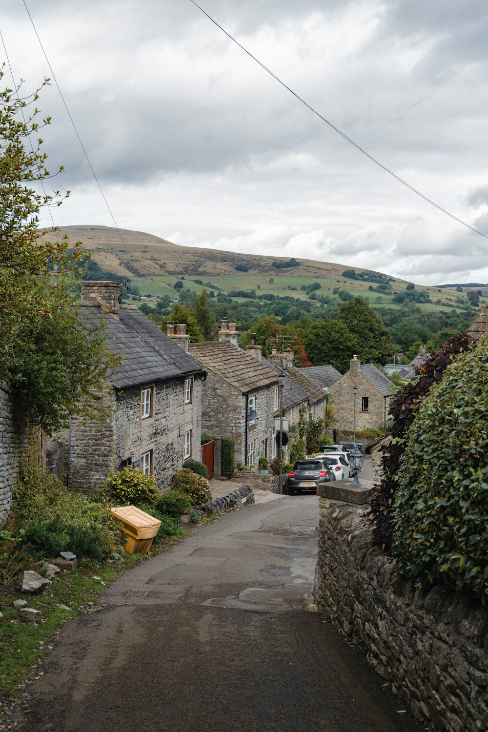 a road with houses and trees on the side