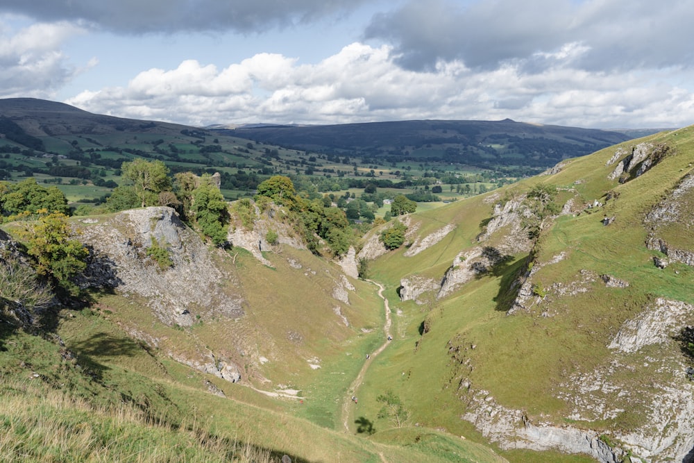 a rocky hillside with trees and grass