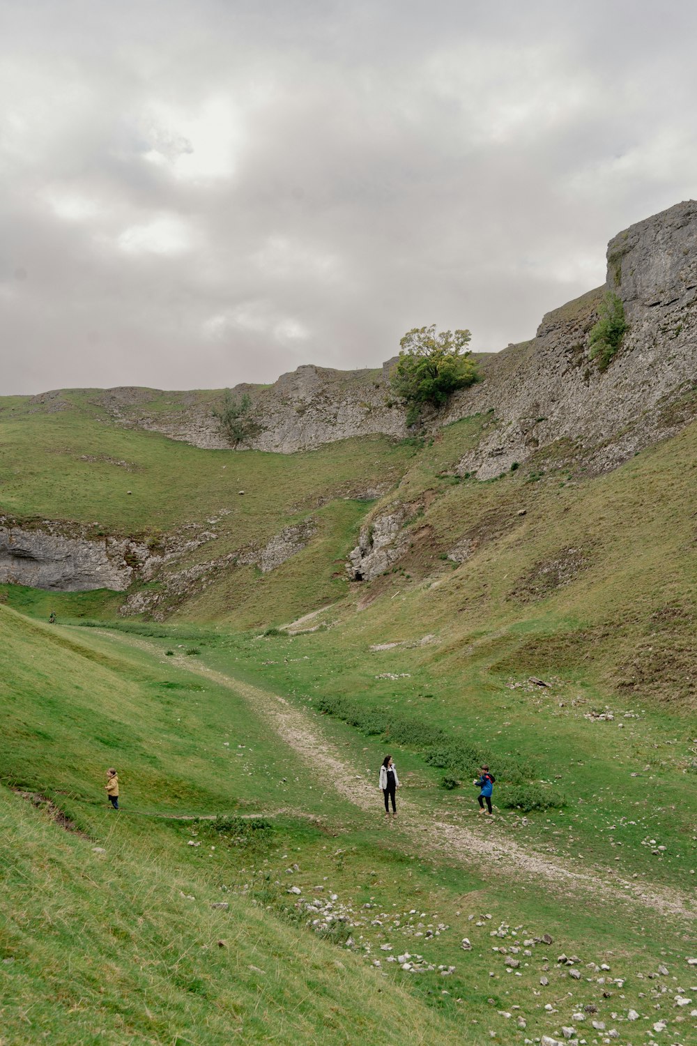 les personnes marchant sur un sentier dans une zone herbeuse