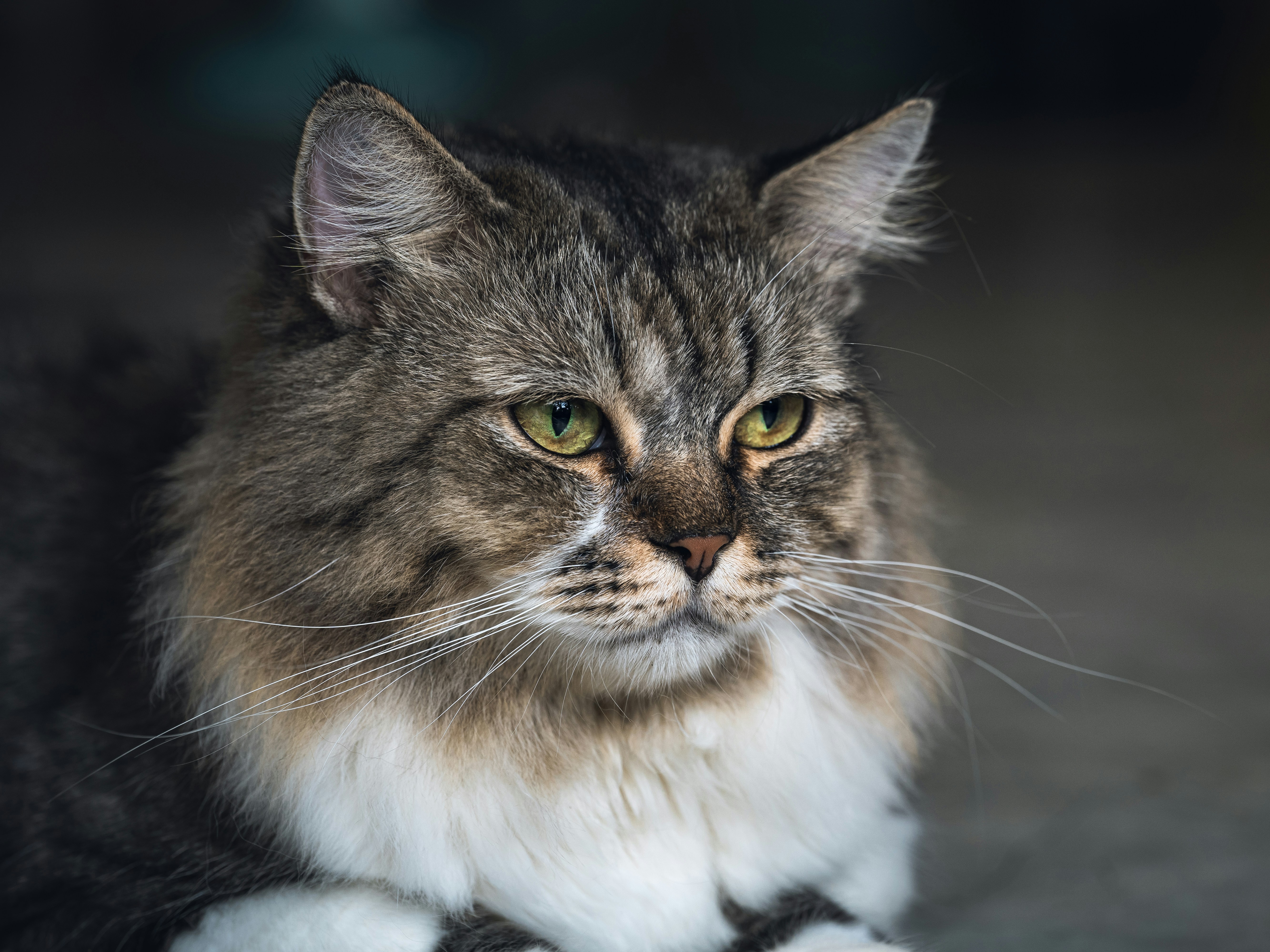 Photo by jensdedecker