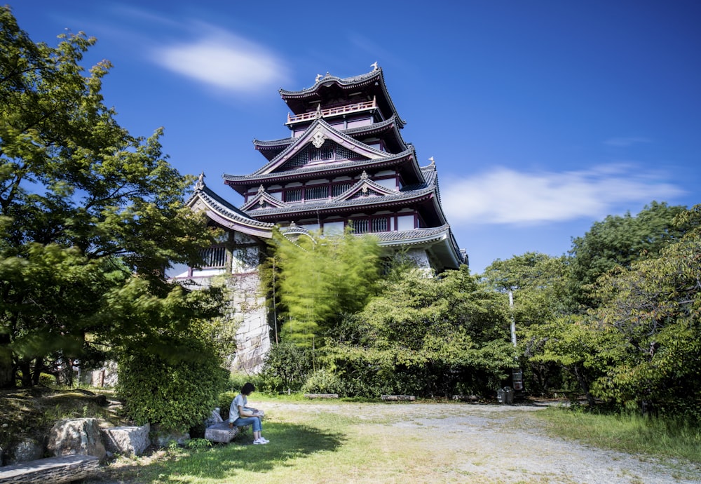 a pagoda with trees and grass