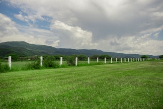 a field of grass with white crosses