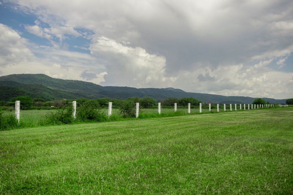 a field of grass with white crosses