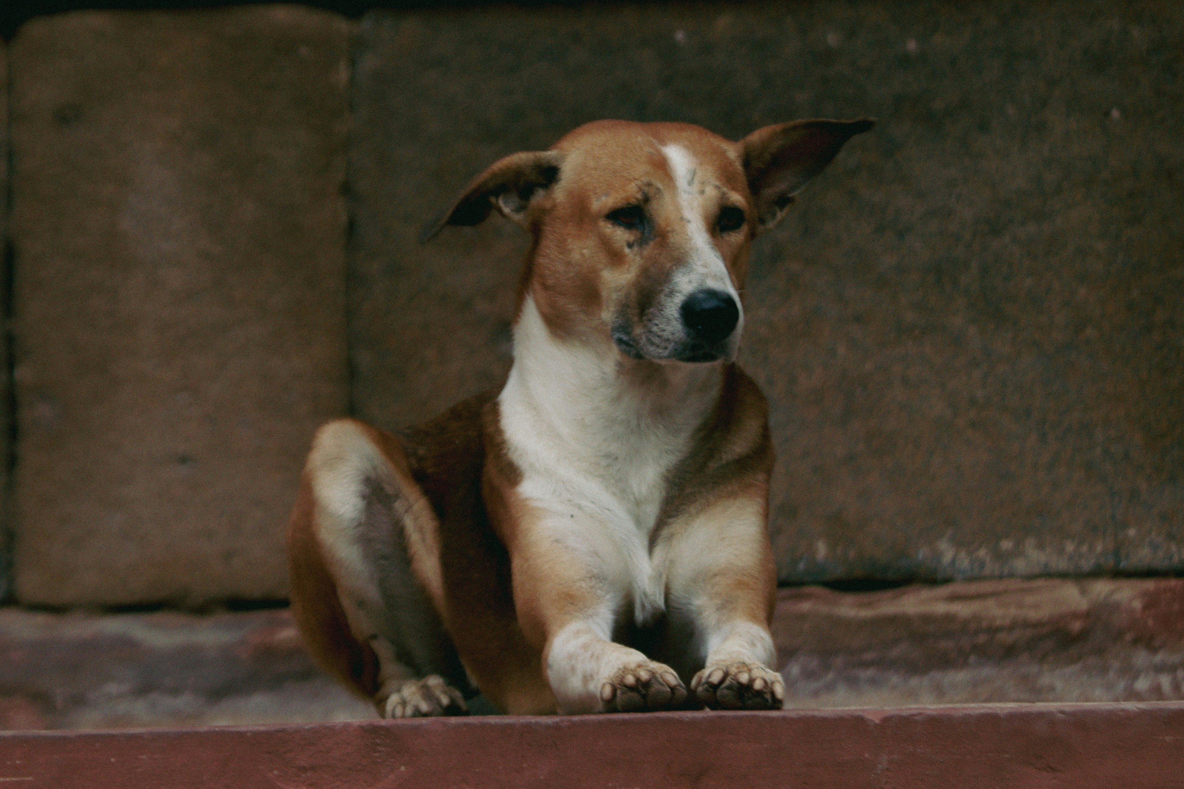 Photo by haidar_7860