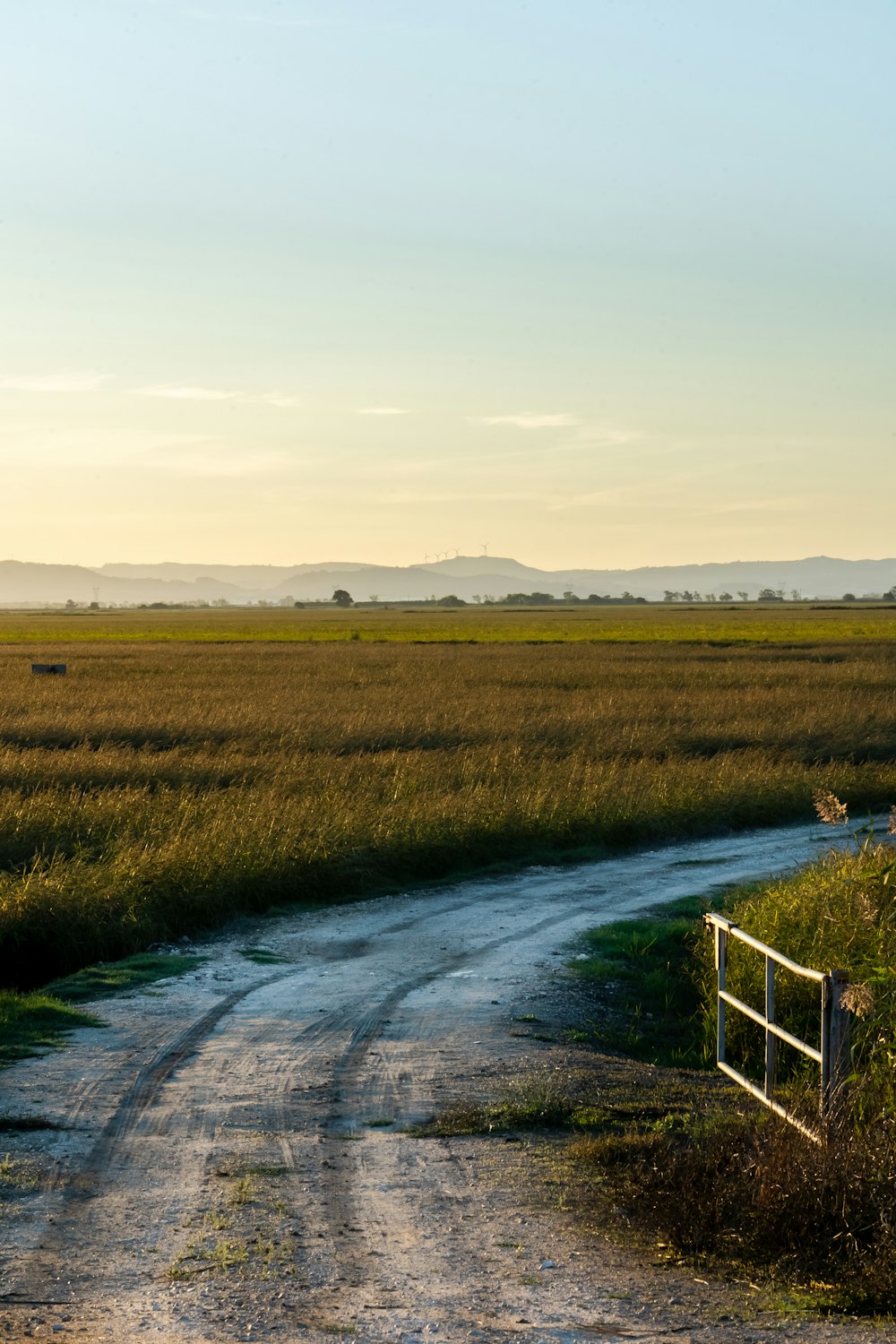 a river running through a field