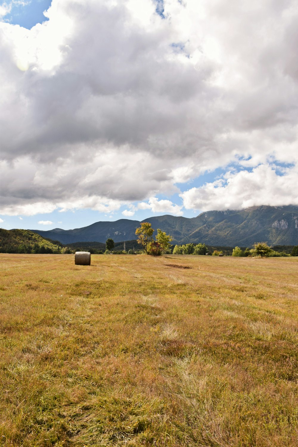 a field with a few trees and mountains in the background