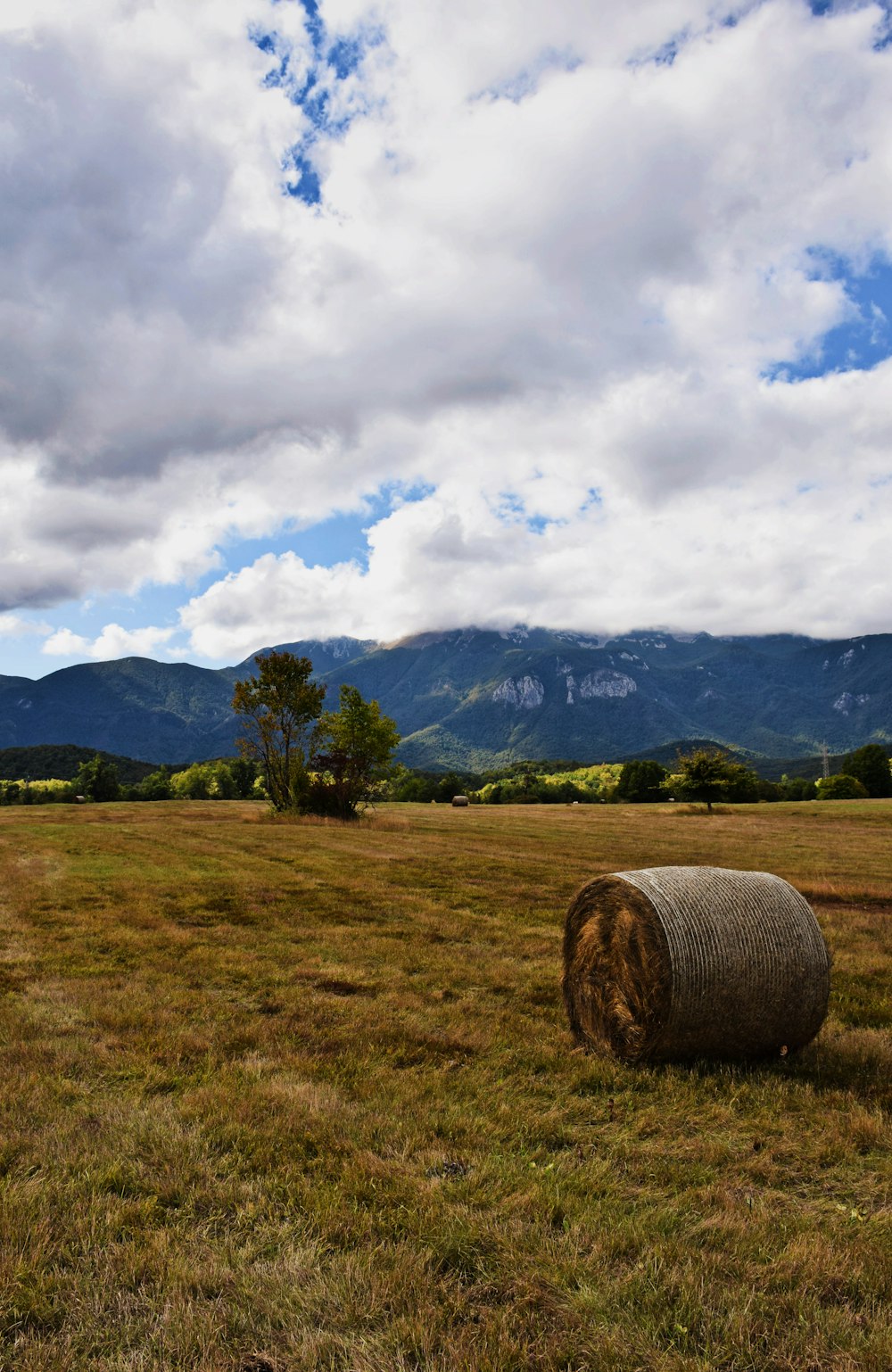 a large hay bale in a field with mountains in the background