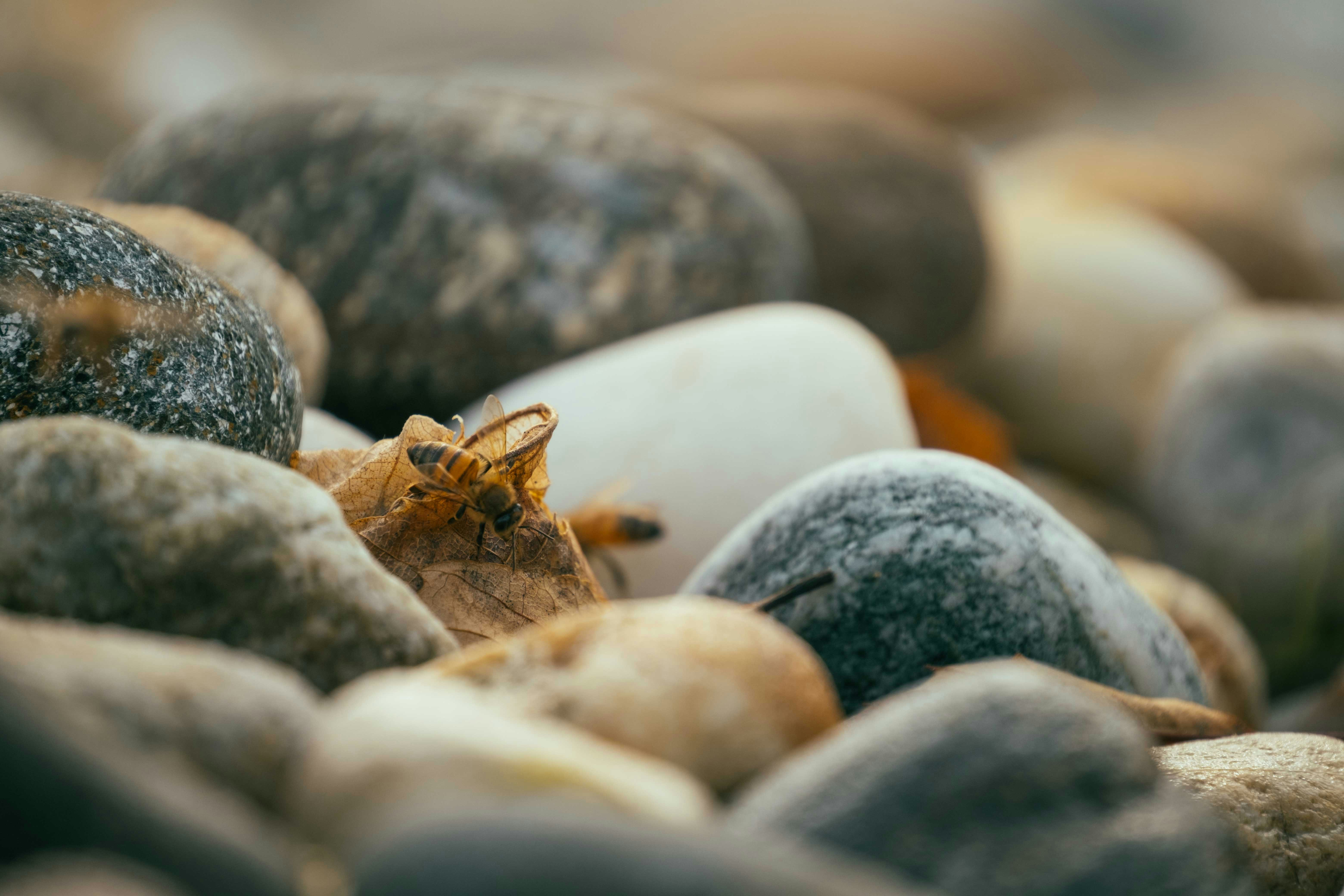 Photo by francesco_ungaro