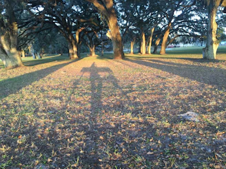 The prison yard at dusk, shadows stretching long as the officer watches from a distance.