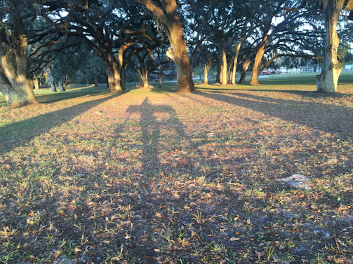 The prison yard at dusk, shadows stretching long as the officer watches from a distance.
