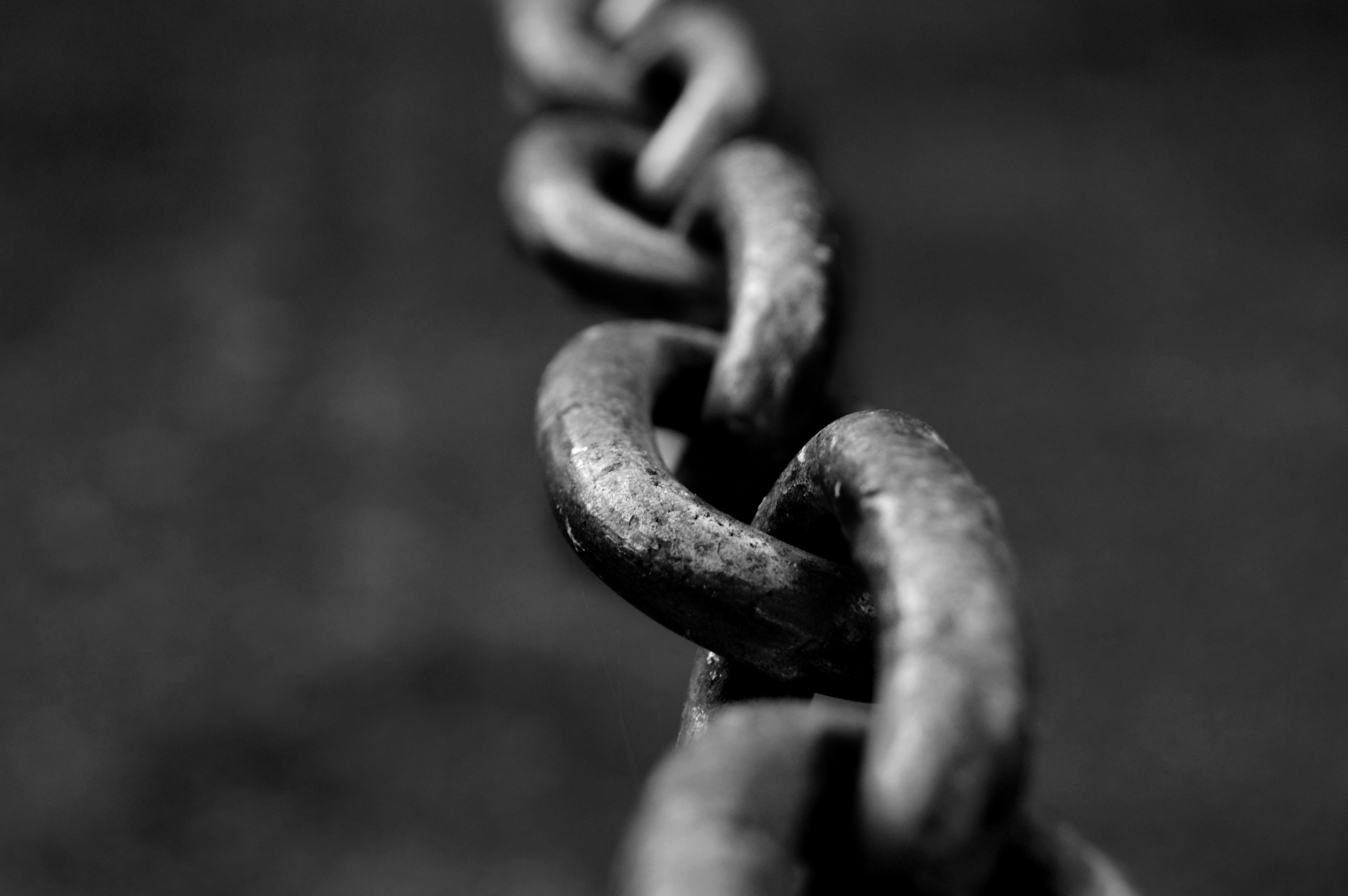 Link building connections for Sydney service business SEO authority