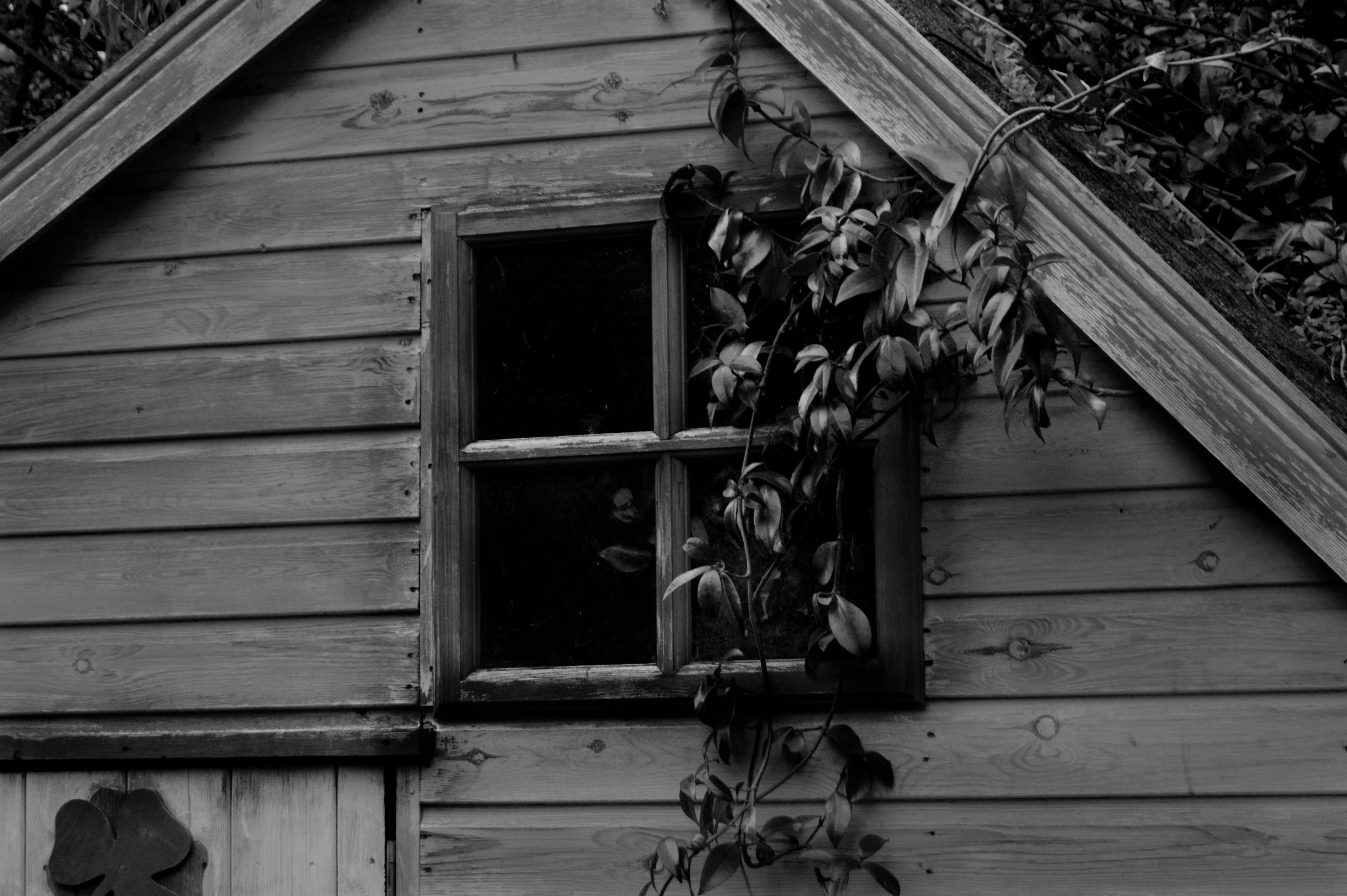 Photo by e_hollingworth