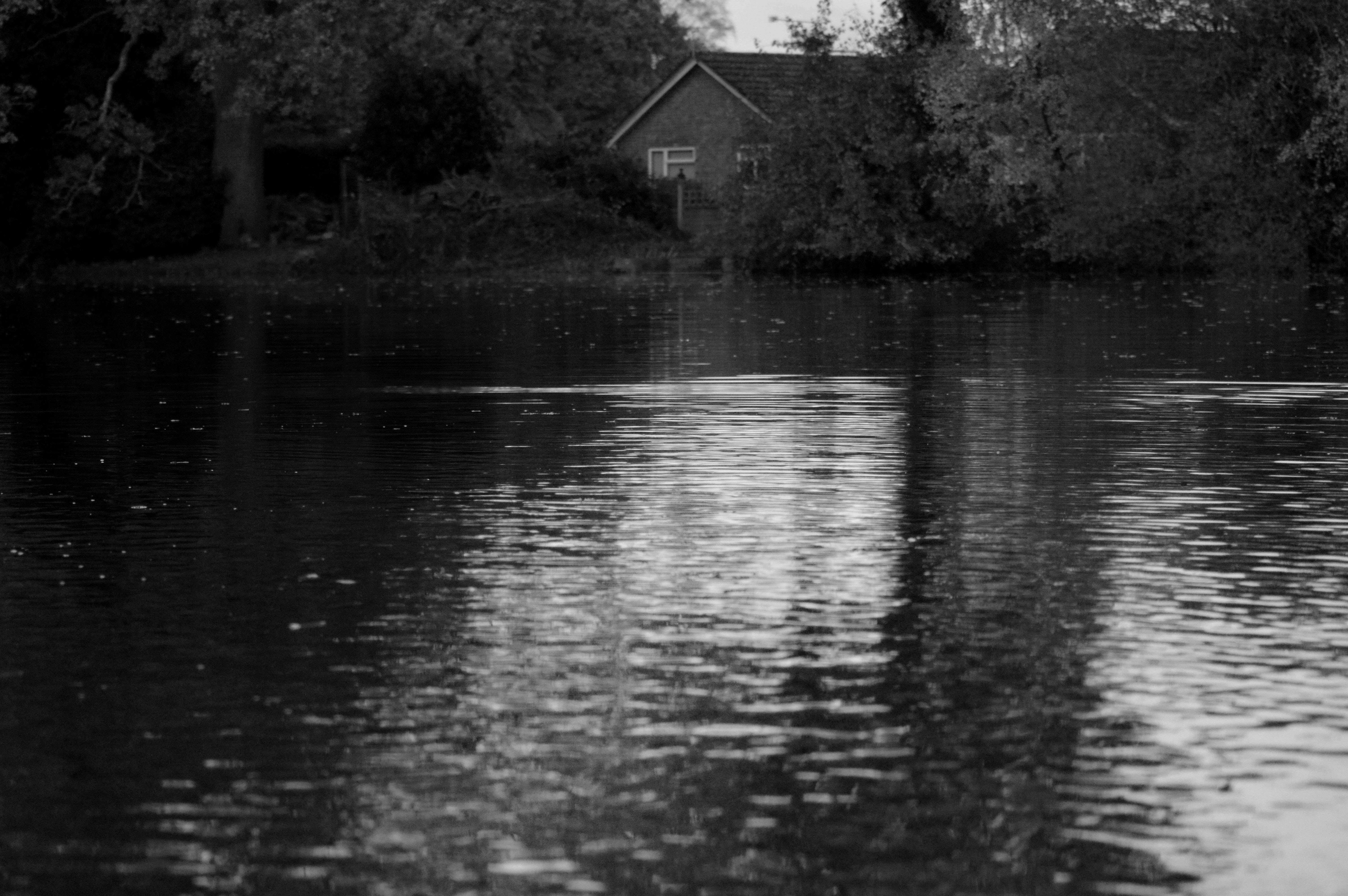 Photo by e_hollingworth