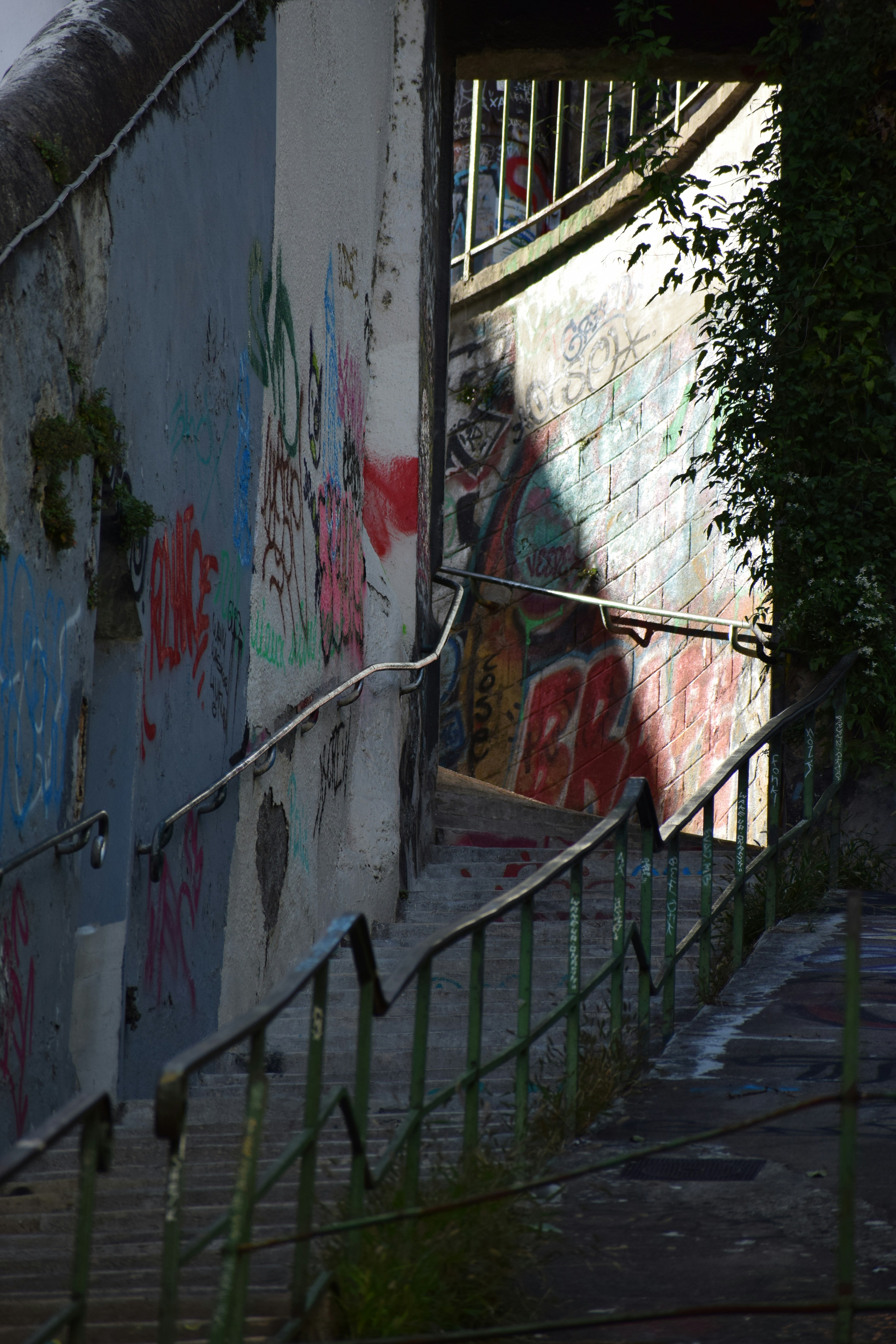 Photo by renaudcfx