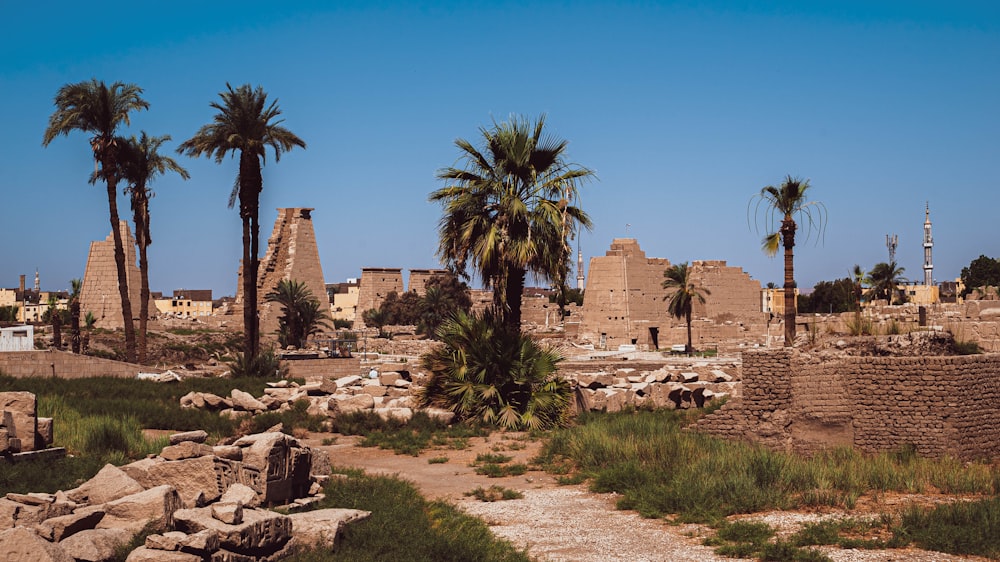 a stone wall with palm trees and a stone wall with buildings in the background