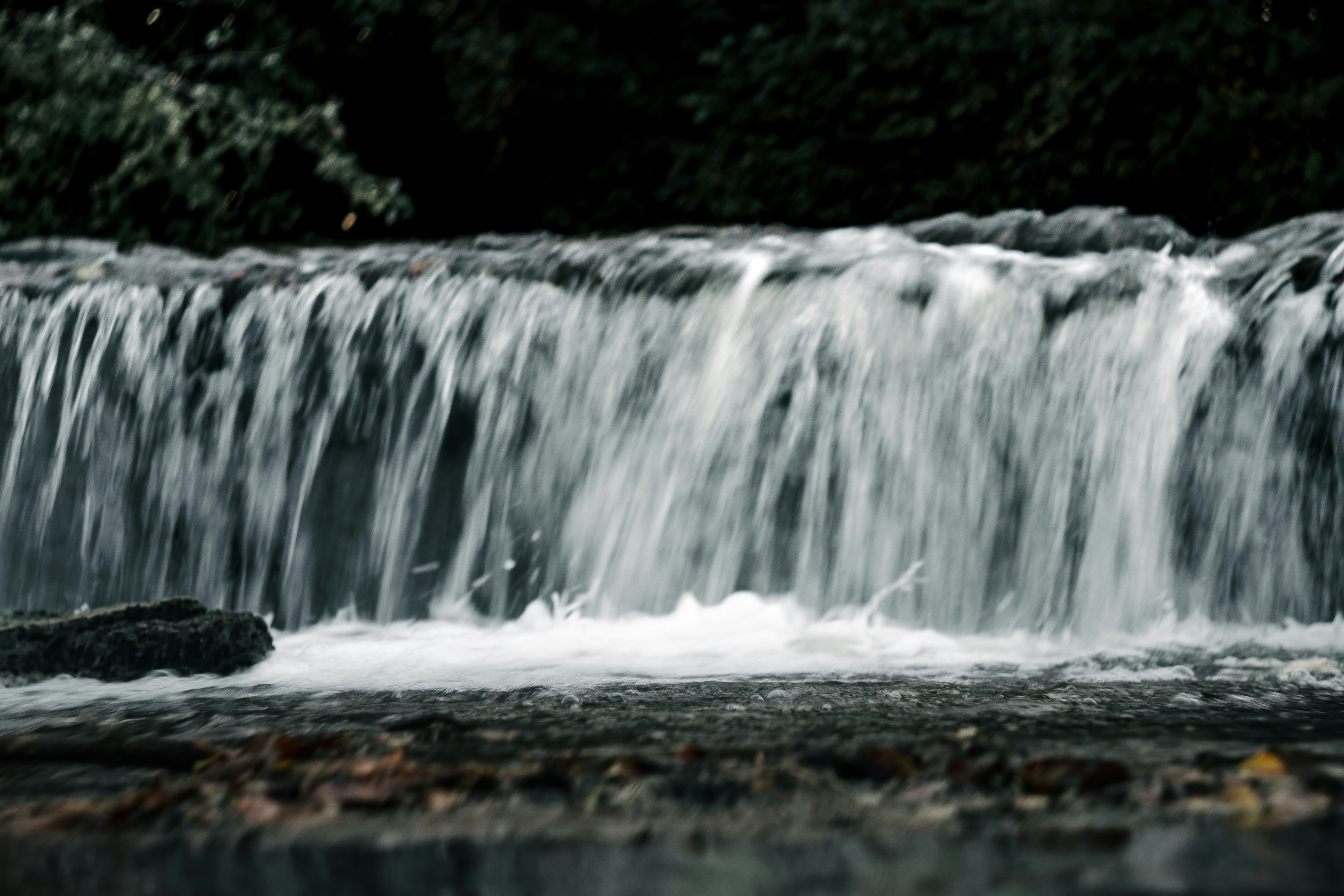 Photo by brice_cooper18