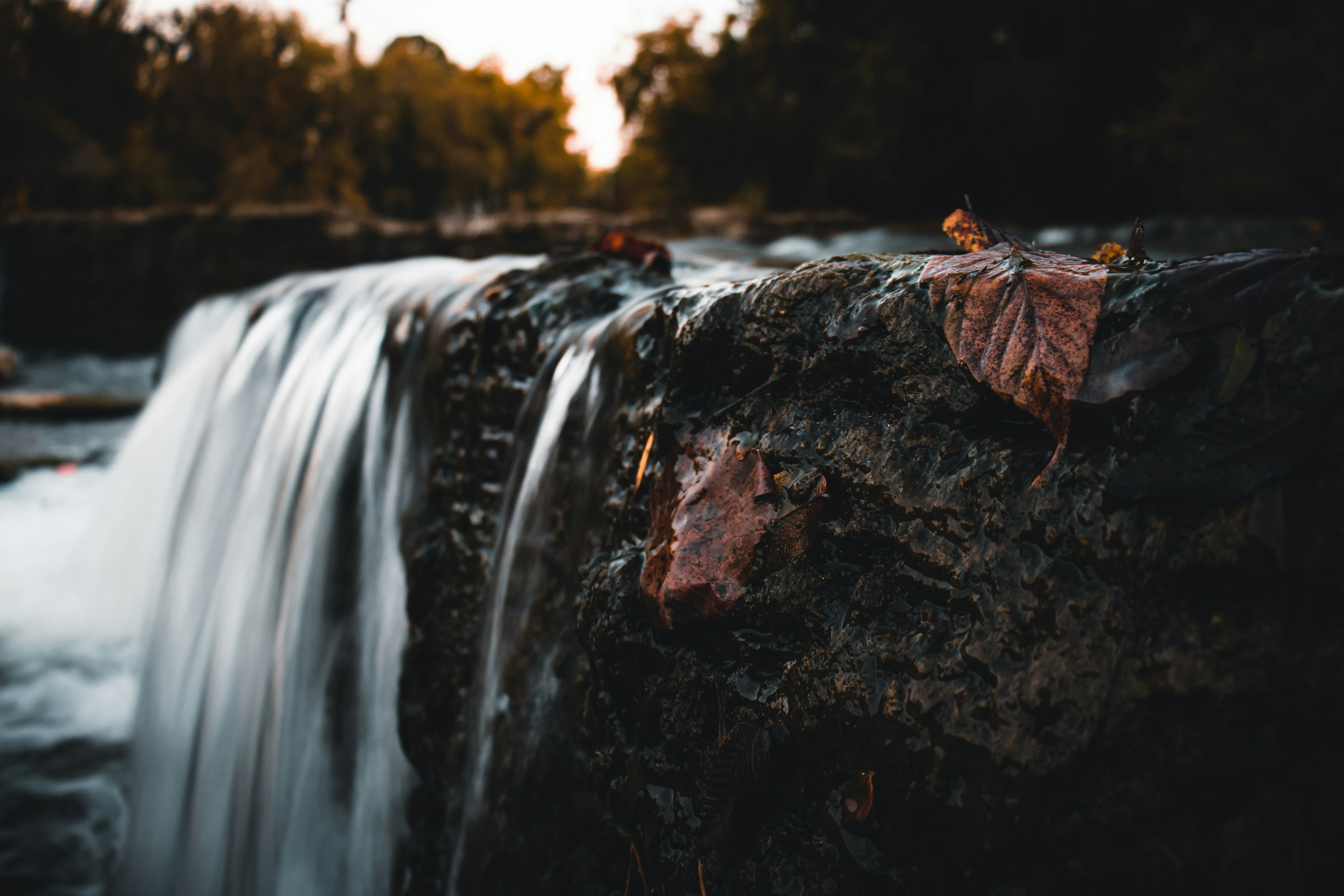 Photo by brice_cooper18