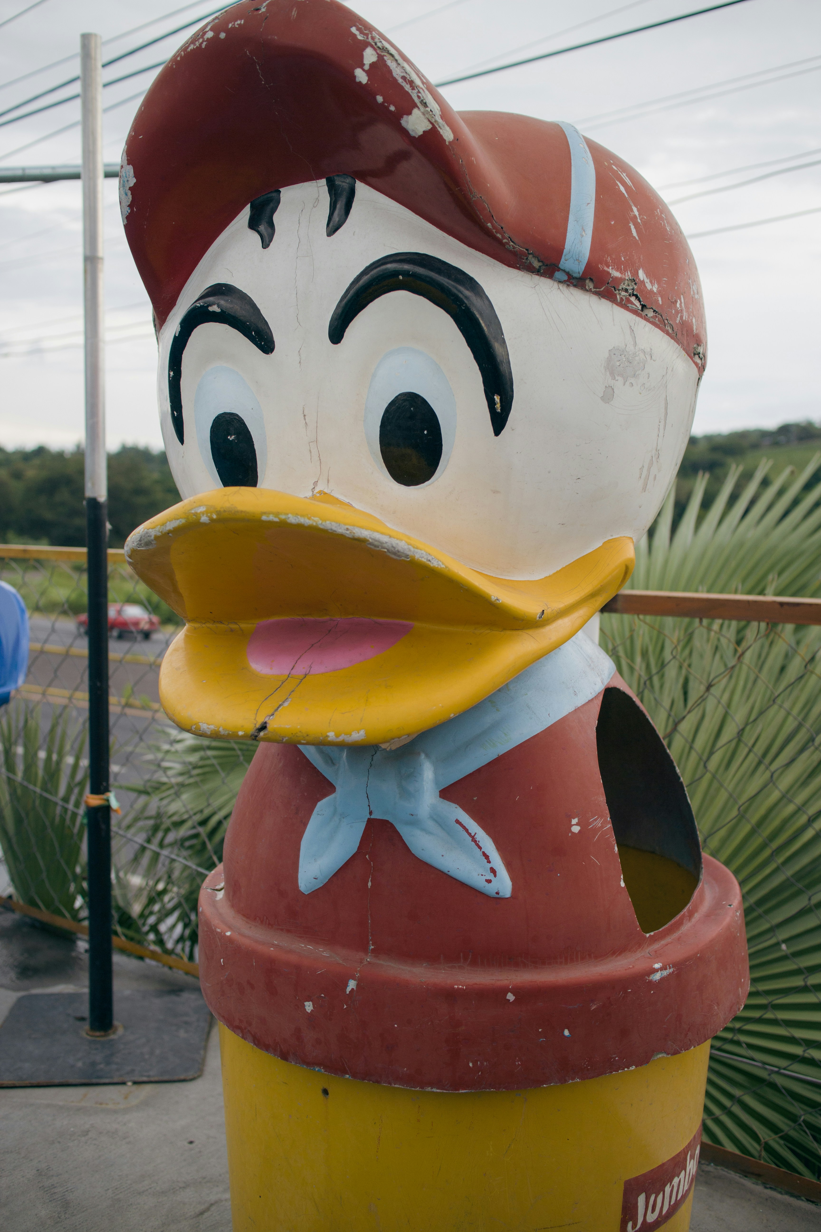 Photo by camaranegra