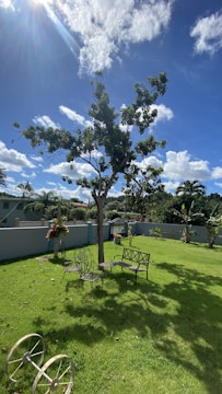 A sunny backyard scene with a clear blue sky and some fluffy white clouds. A tall tree with green leaves casts a shadow on the well-maintained grassy lawn. There are two metal chairs and a bench beneath the tree. In the foreground, the wheel of an old cart is partially visible. The yard is enclosed with a gray fence, beyond which are various plants and a clear view of other trees and plants.