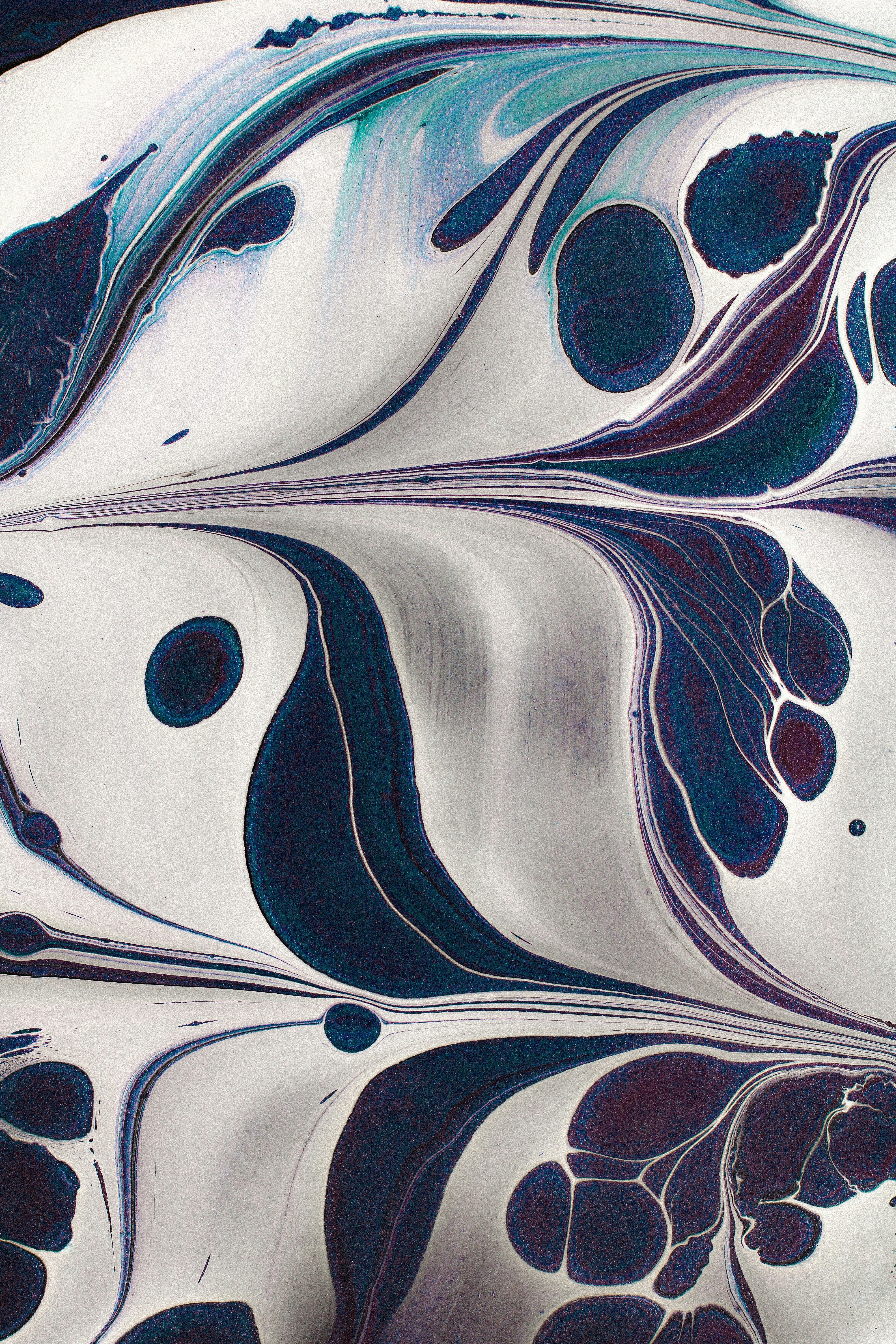 Photo by susan_wilkinson