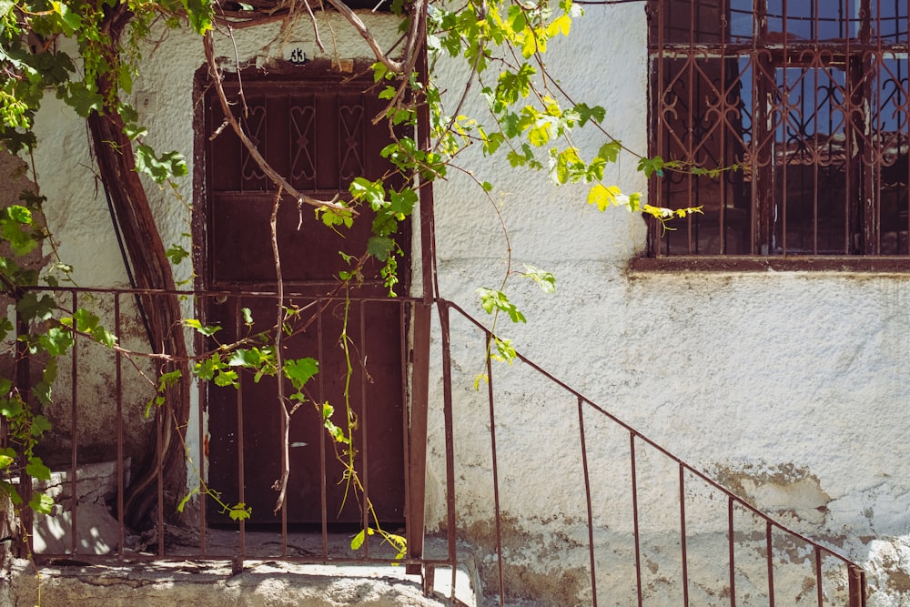 a door in a stone wall