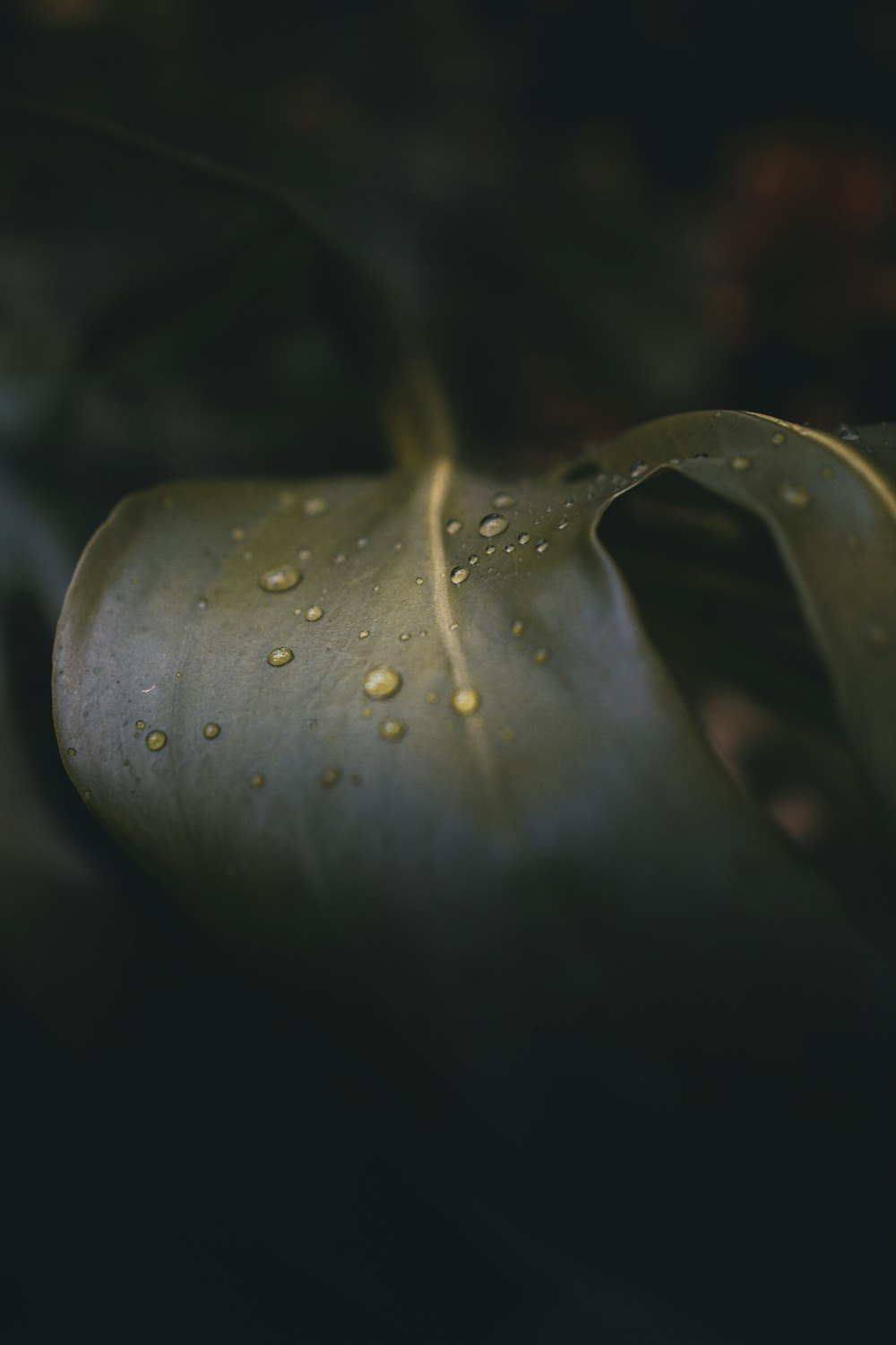 a close-up of a metal object