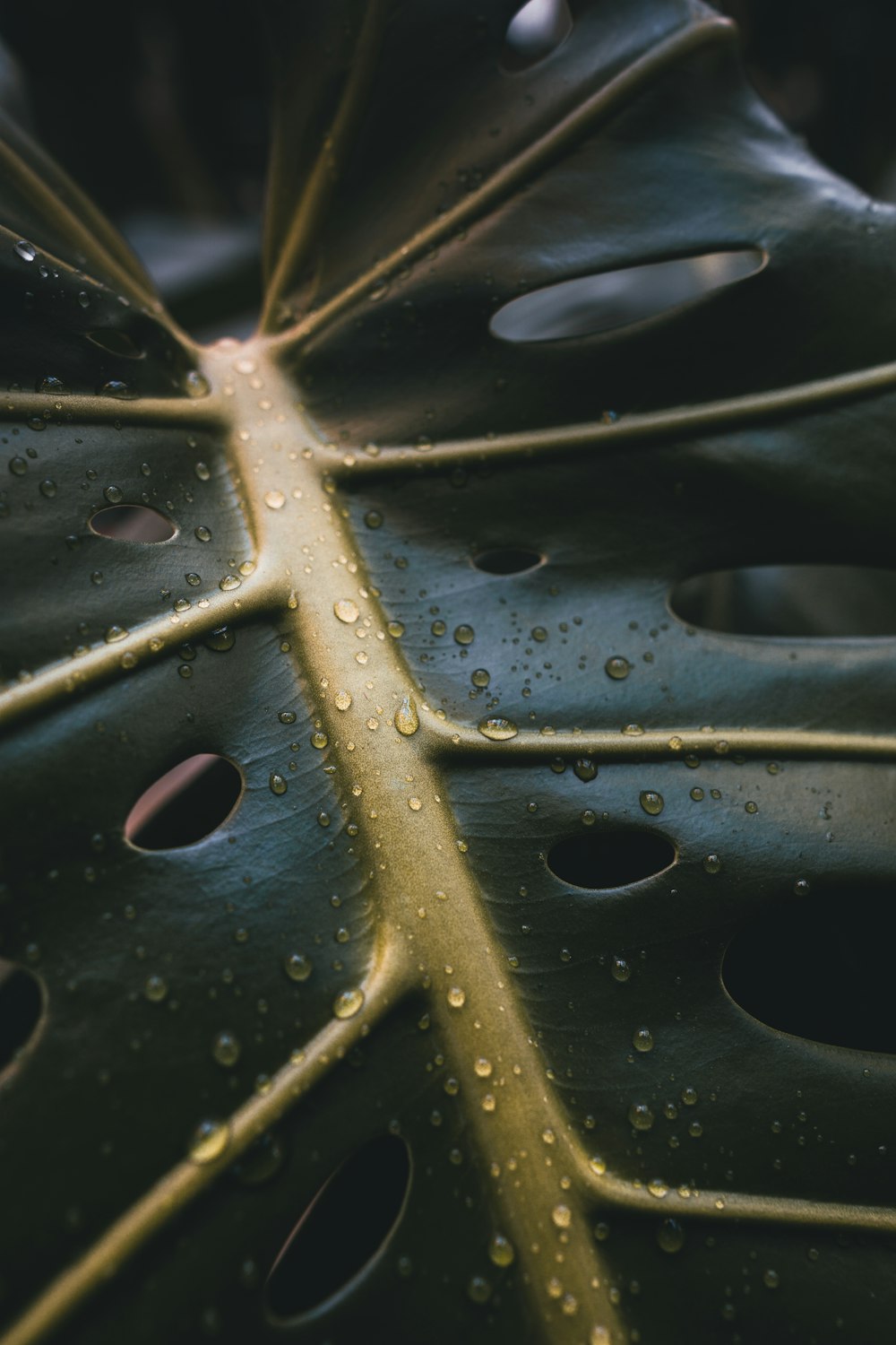 a close up of a metal object