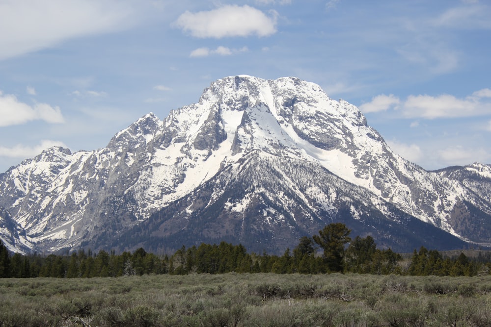 a snowy mountain with trees below