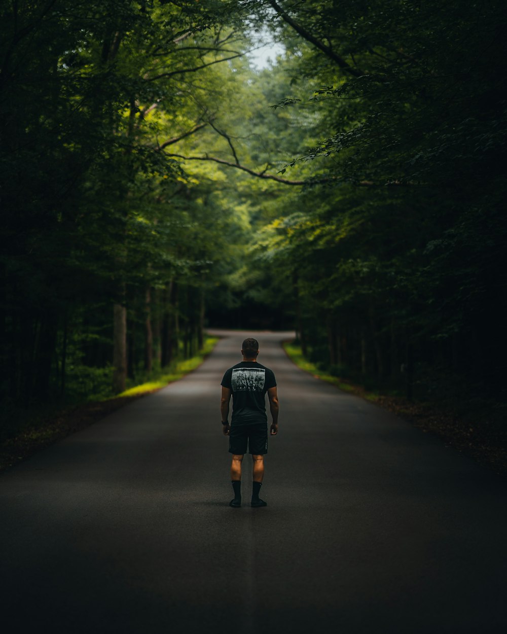 a person walking on a road surrounded by trees