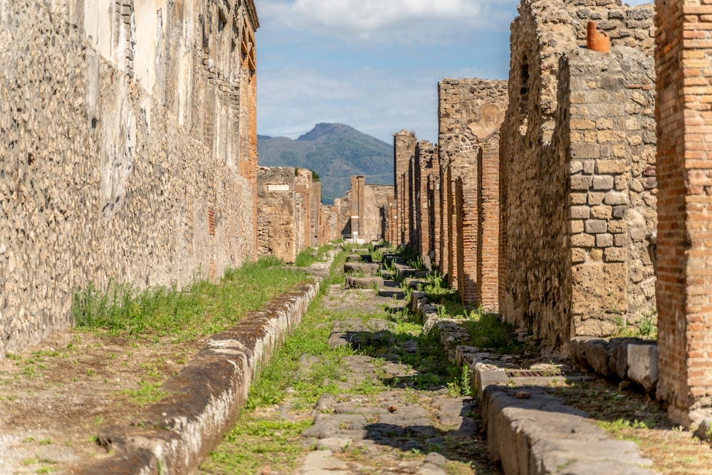 a stone path between stone buildings