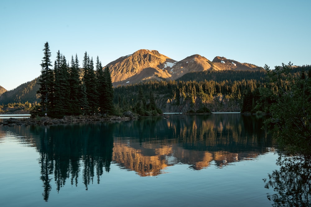 Un lac avec des arbres et des montagnes en arrière-plan