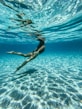 a group of dolphins swimming in the water