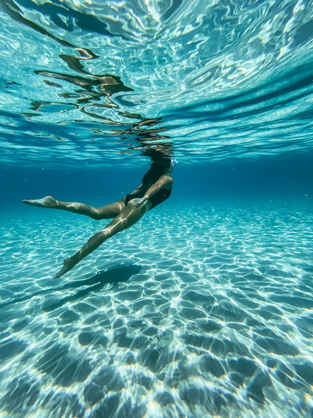 a group of dolphins swimming in the water