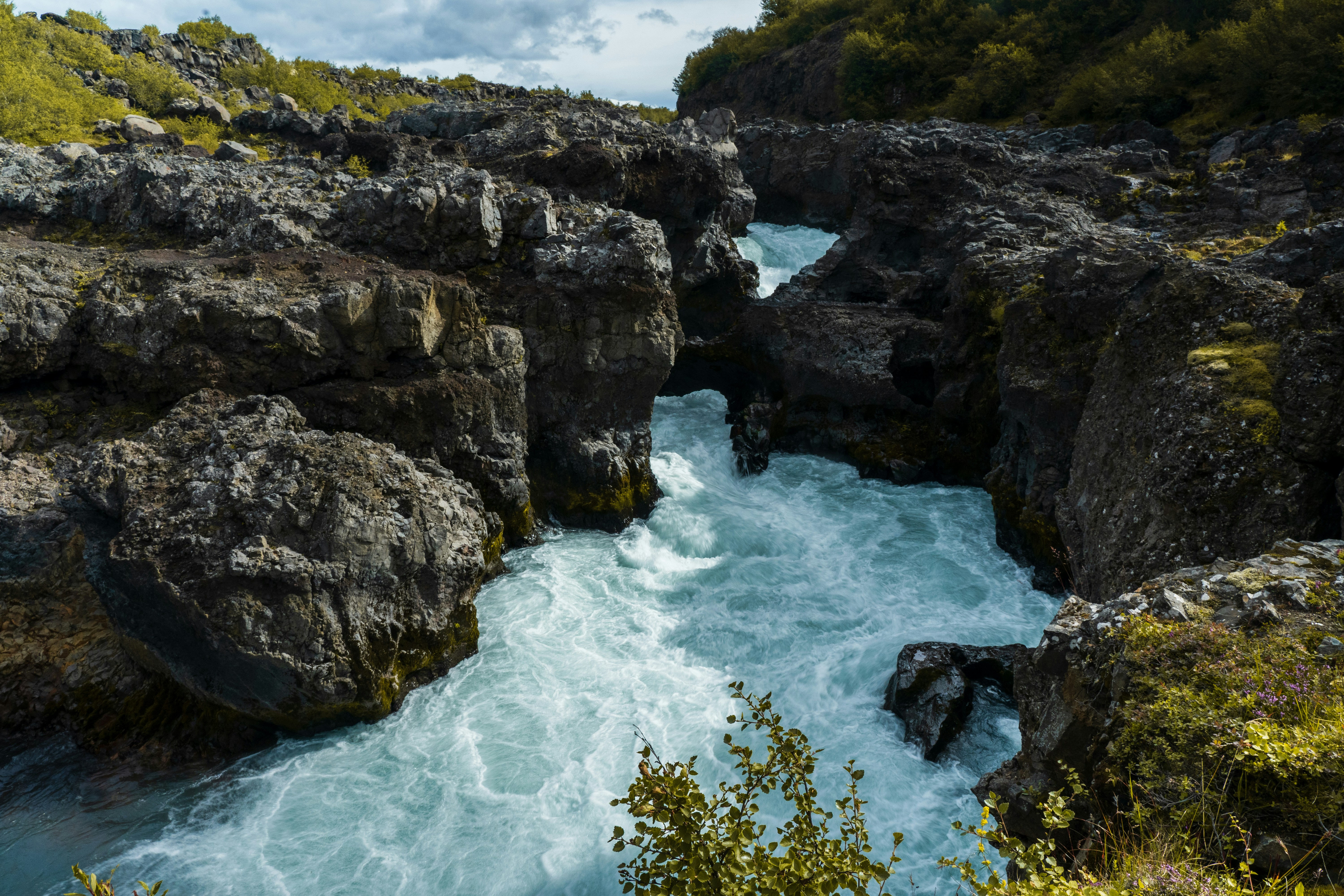 Photo by collinmarkross