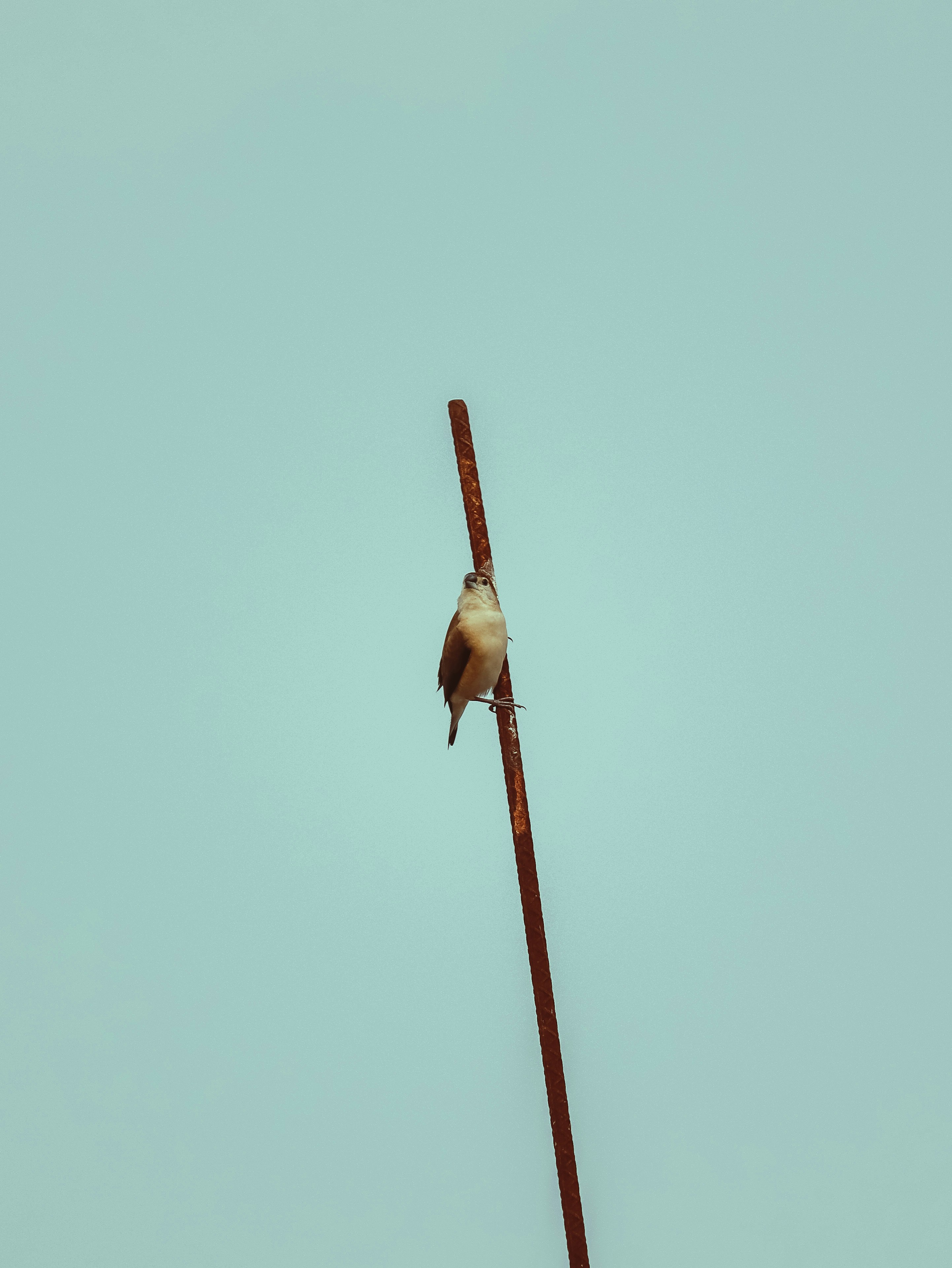 Photo by brajendra_lens_a_lot_