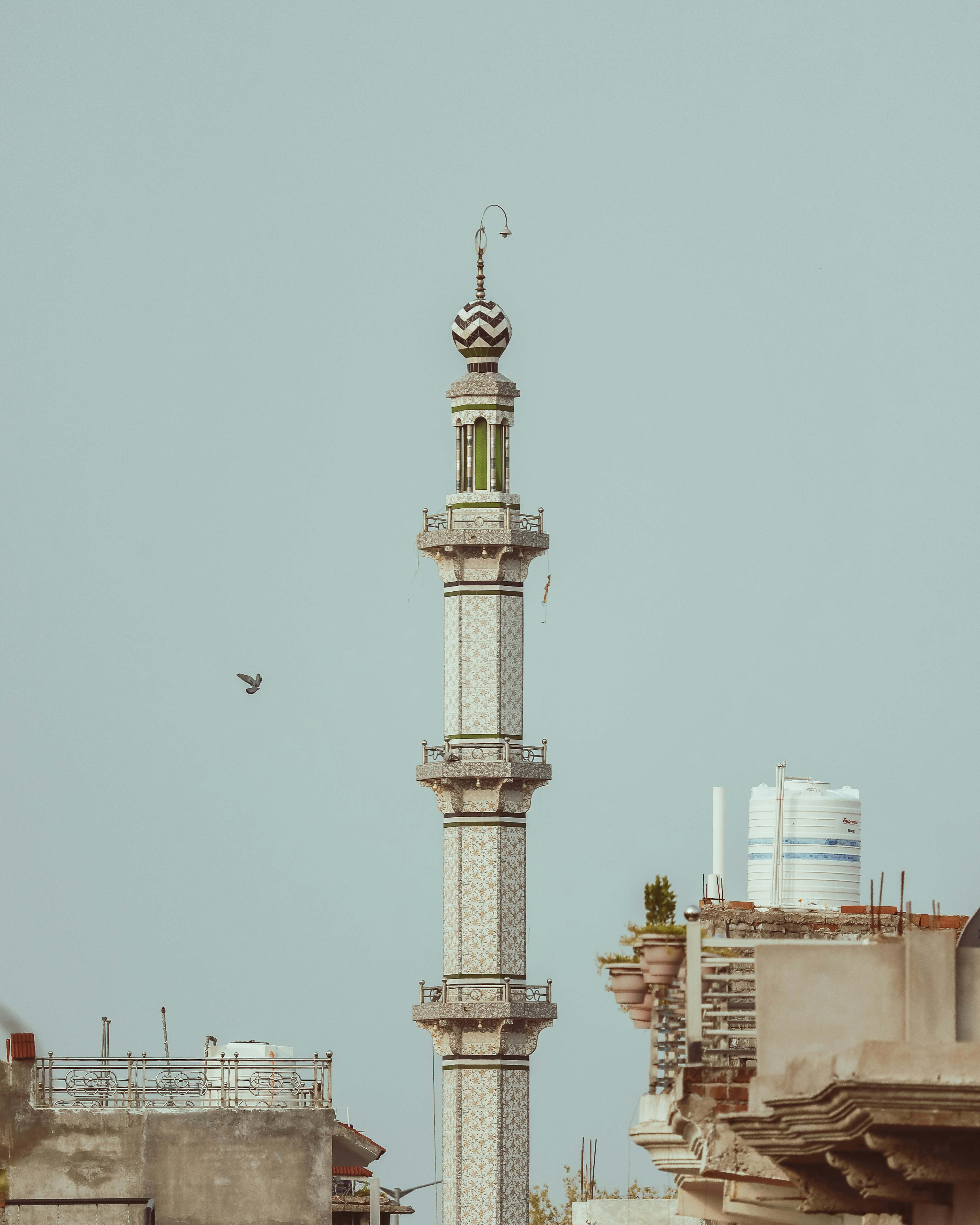 Photo by brajendra_lens_a_lot_