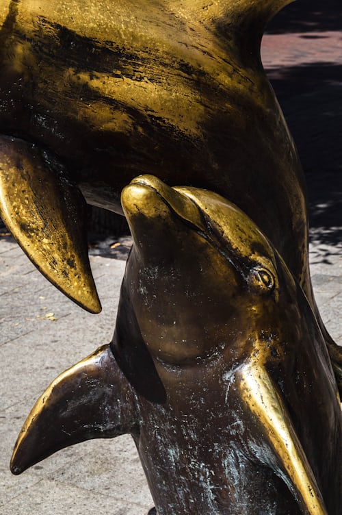 Bronze fish Sculpture