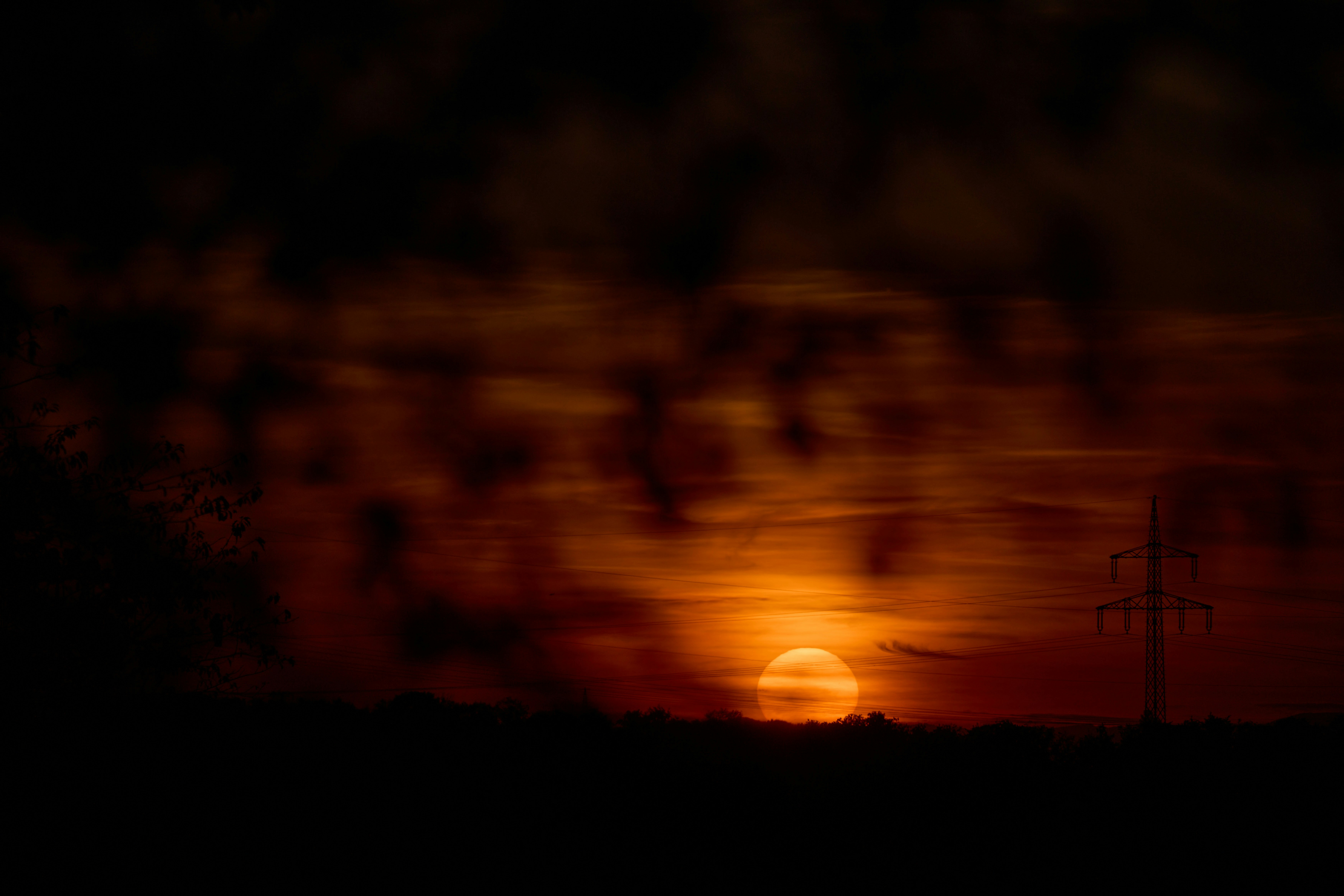 Photo by wolfgang_hasselmann