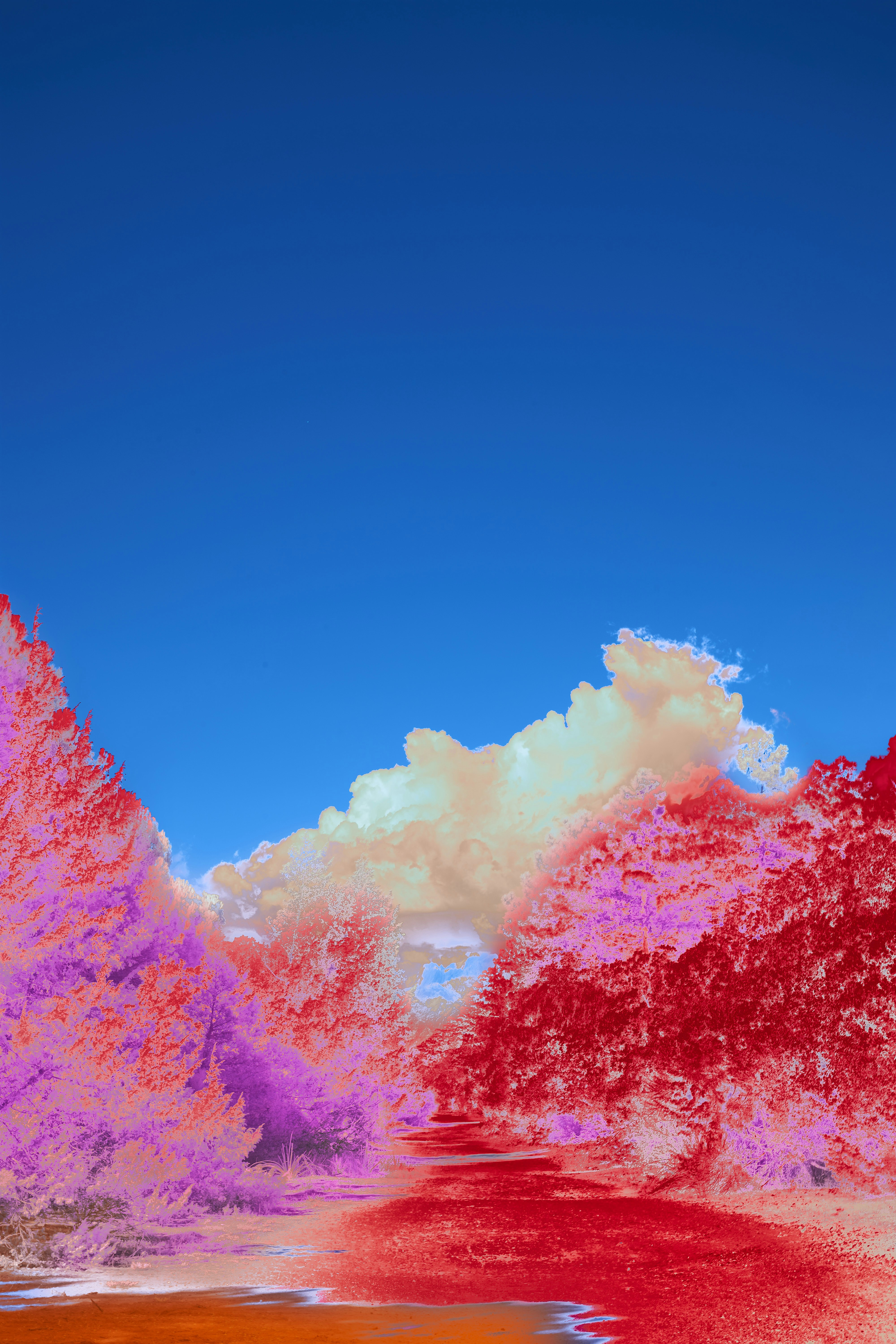 Photo by wolfgang_hasselmann