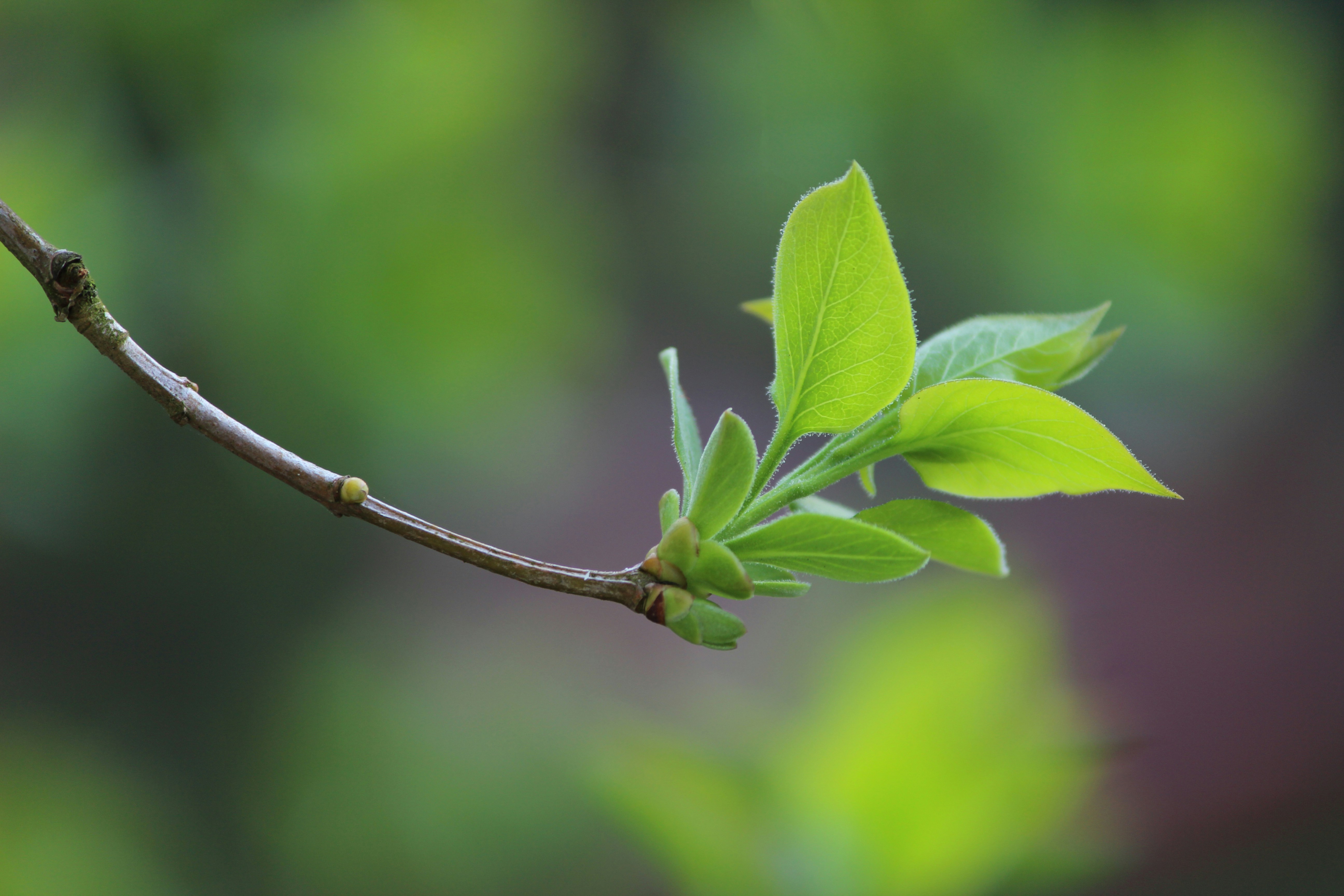 Photo by rasalas8910