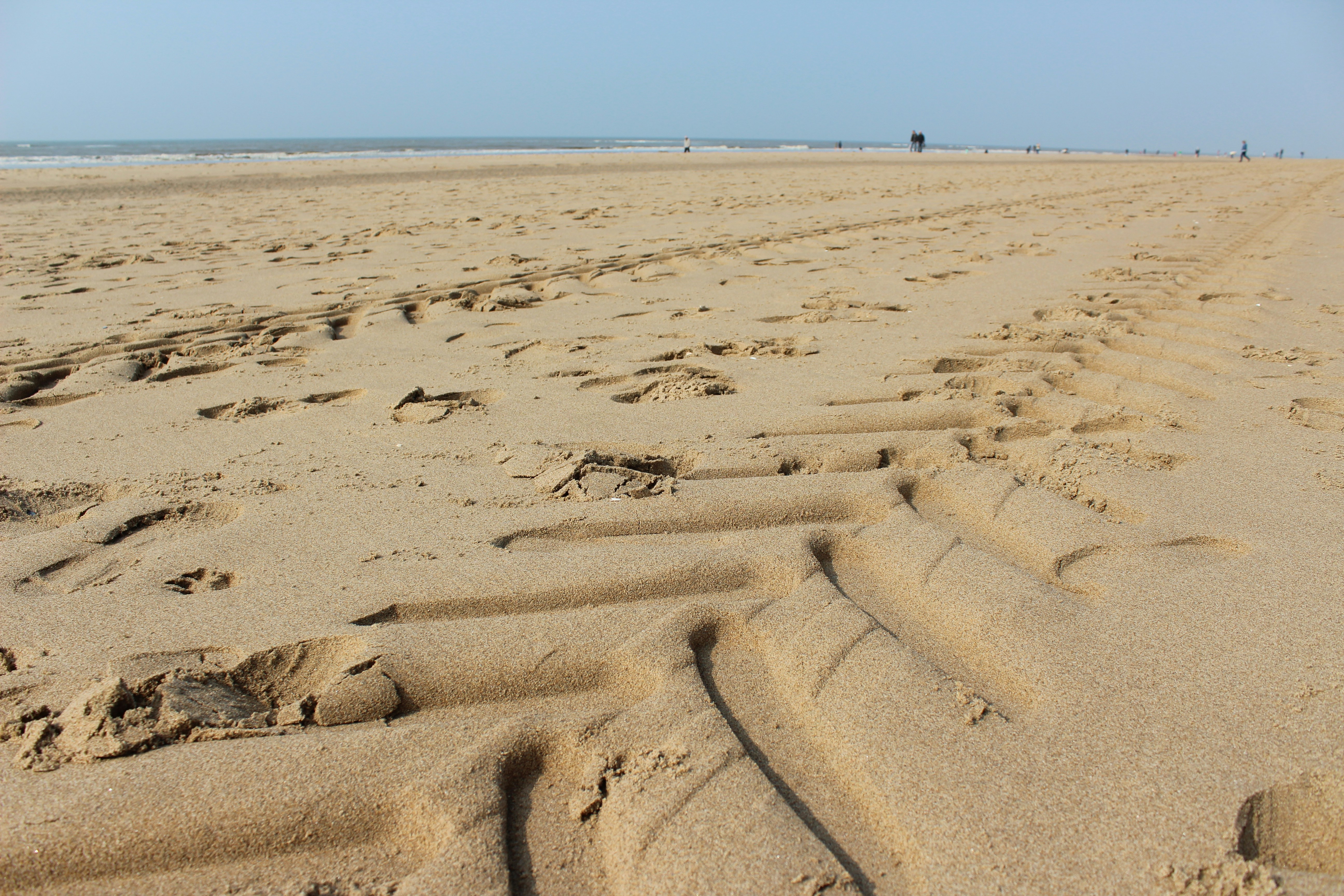 Photo by rasalas8910