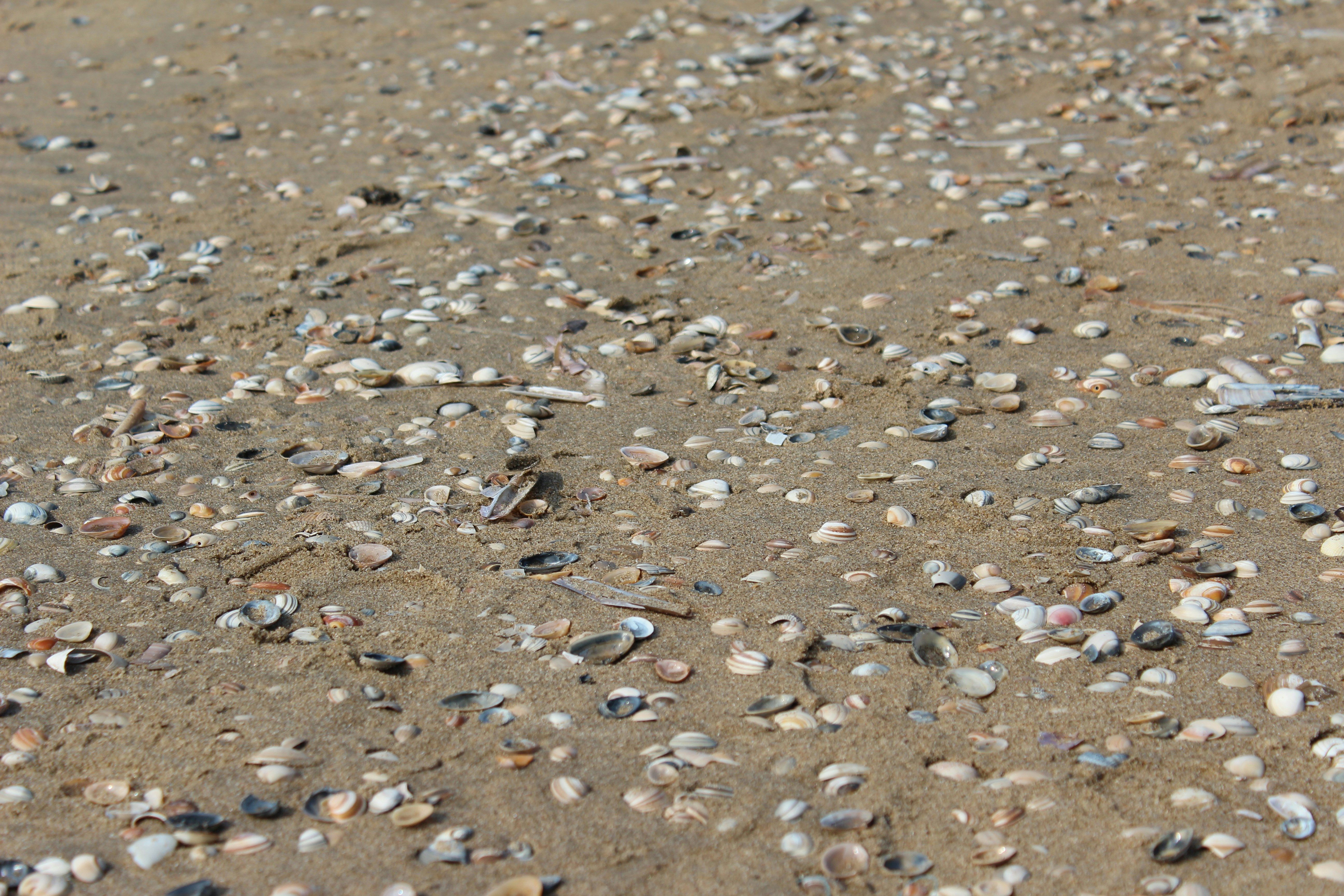 Photo by rasalas8910