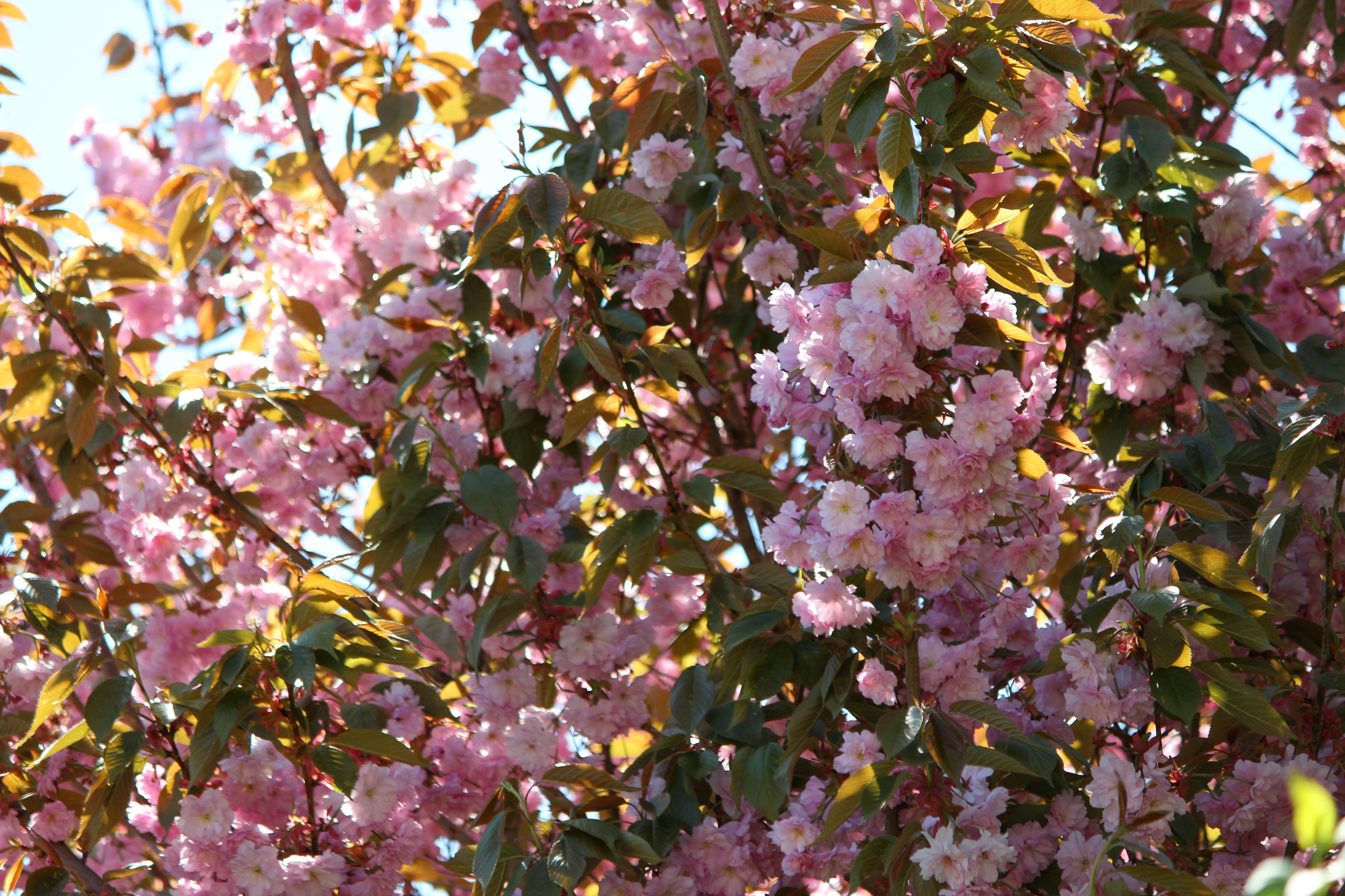 Photo by rasalas8910