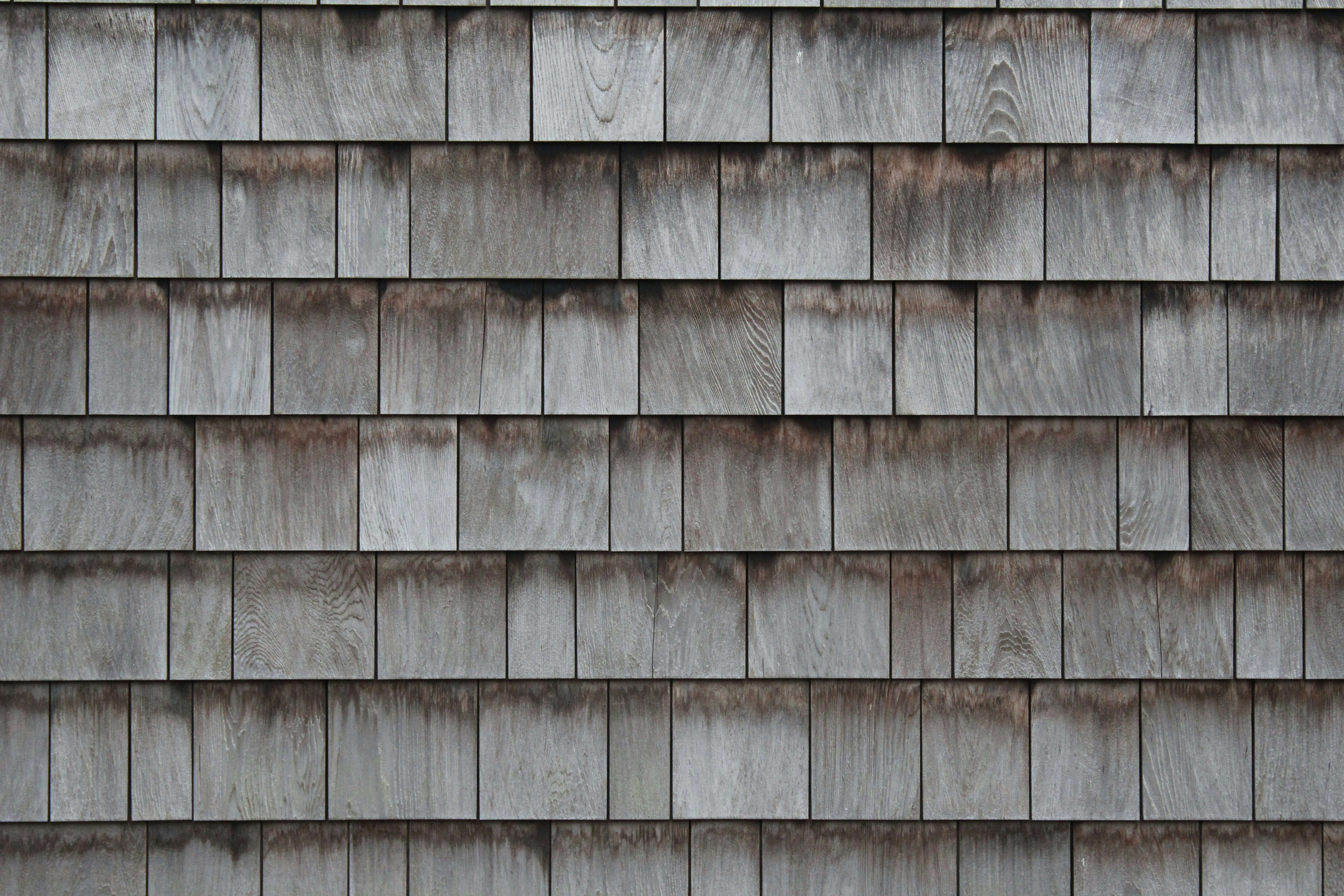 Photo by rasalas8910