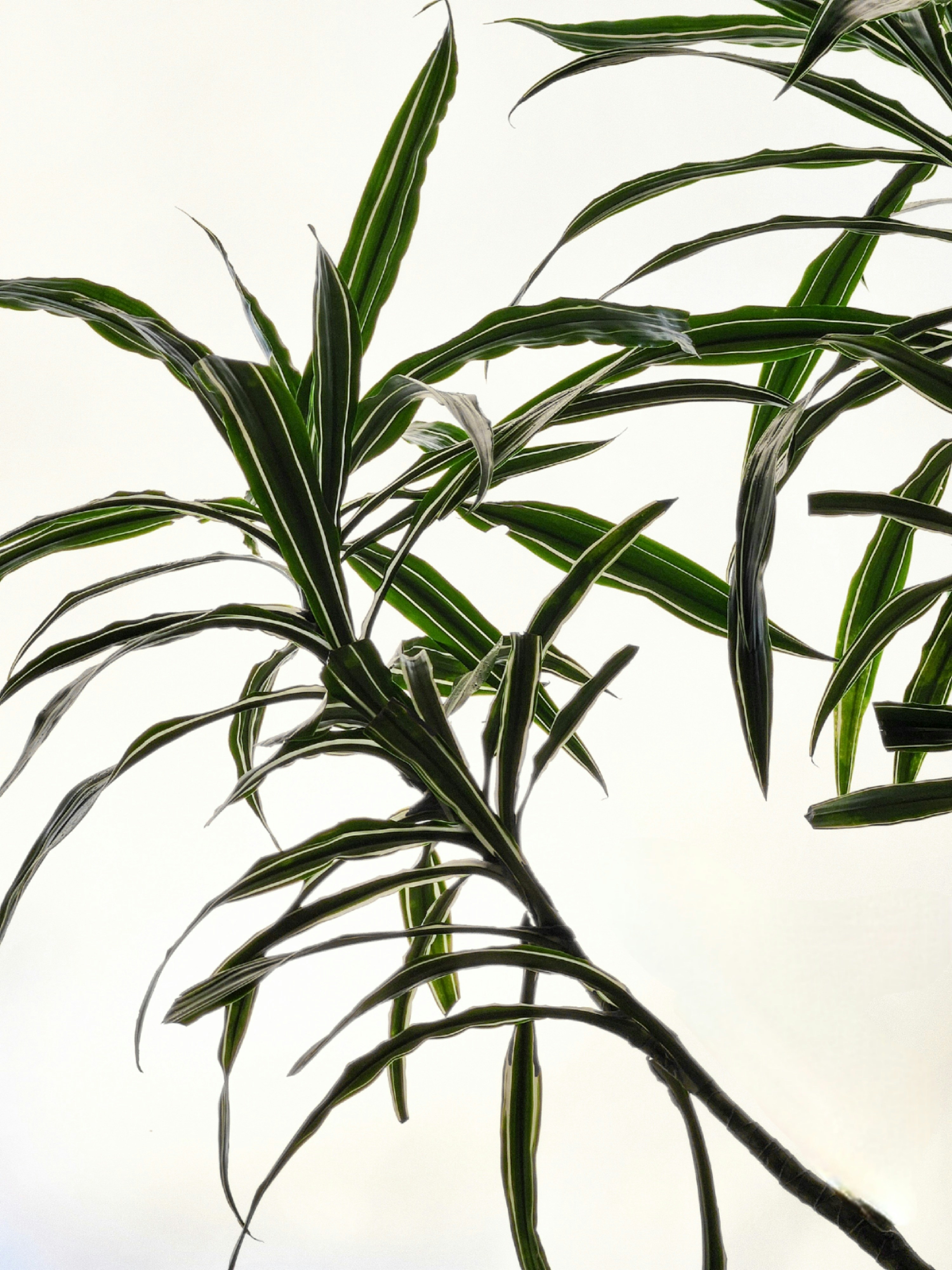 Photo by joseignaciopompe