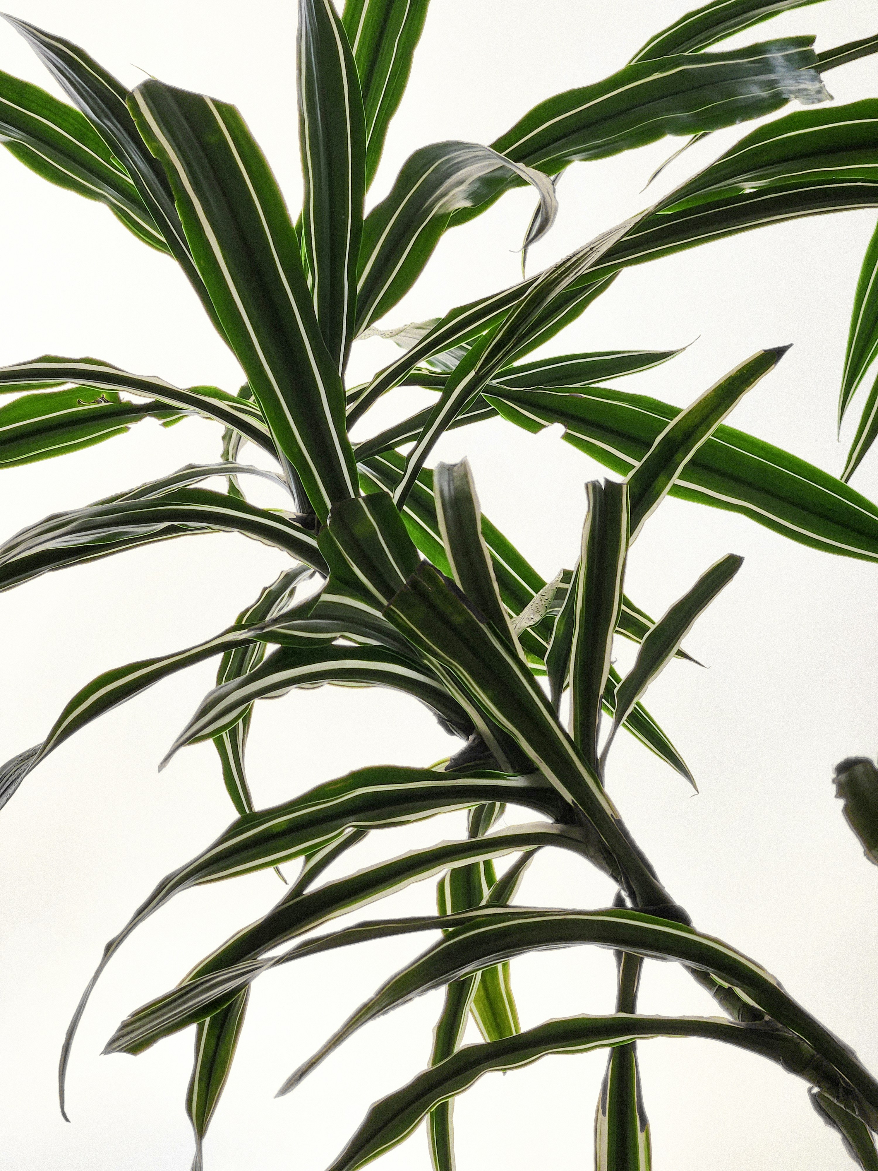 Photo by joseignaciopompe