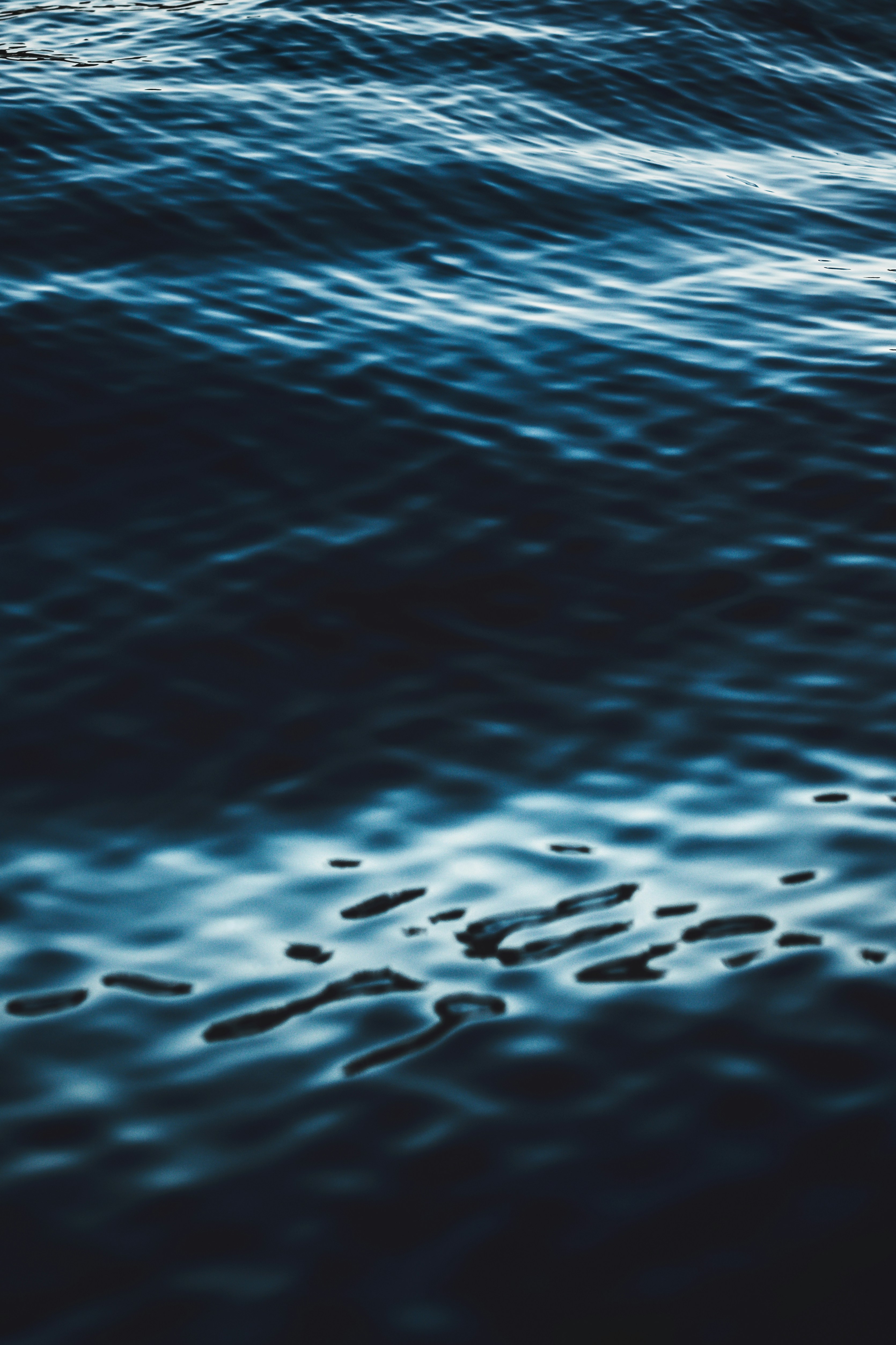 Photo by timmossholder