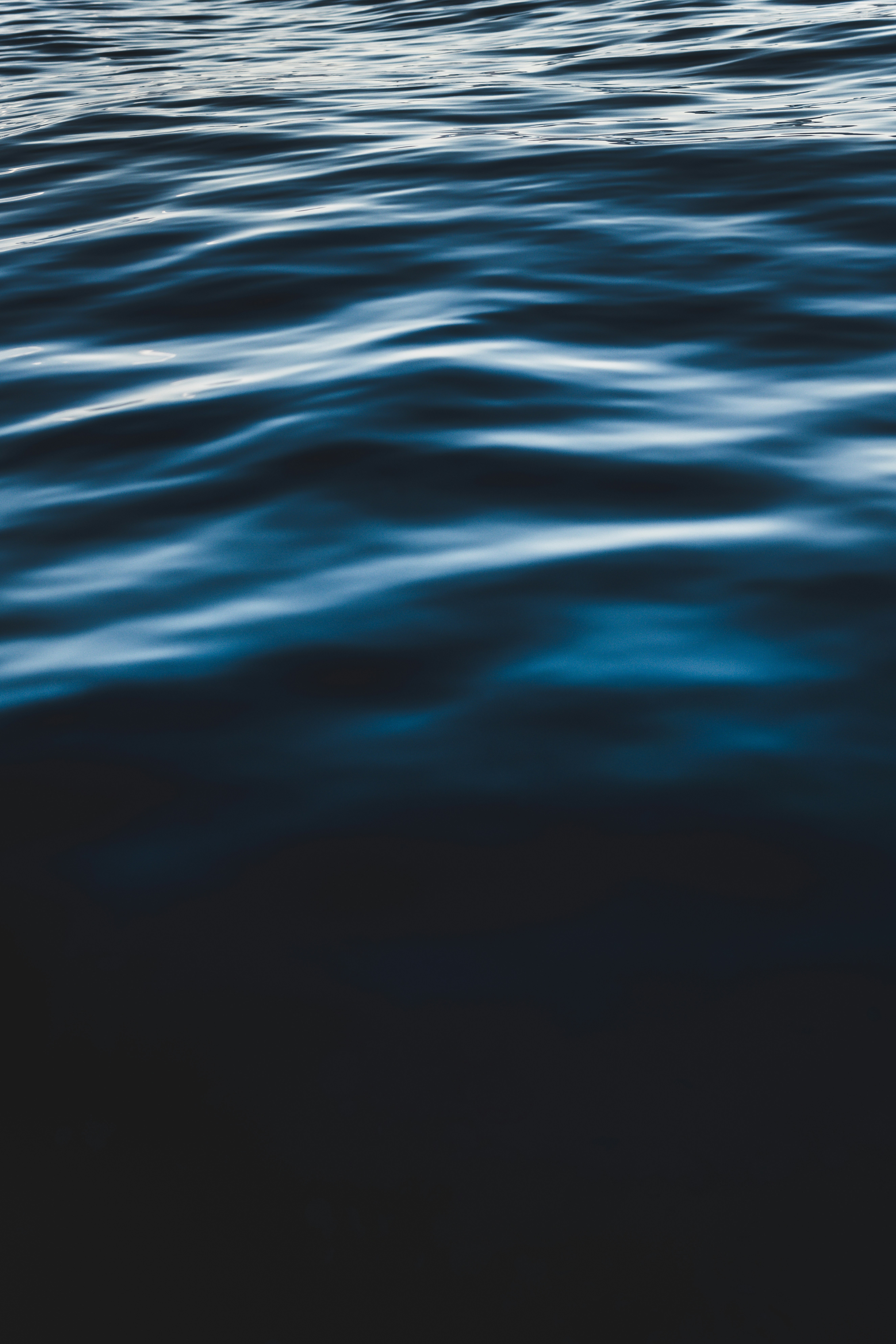 Photo by timmossholder